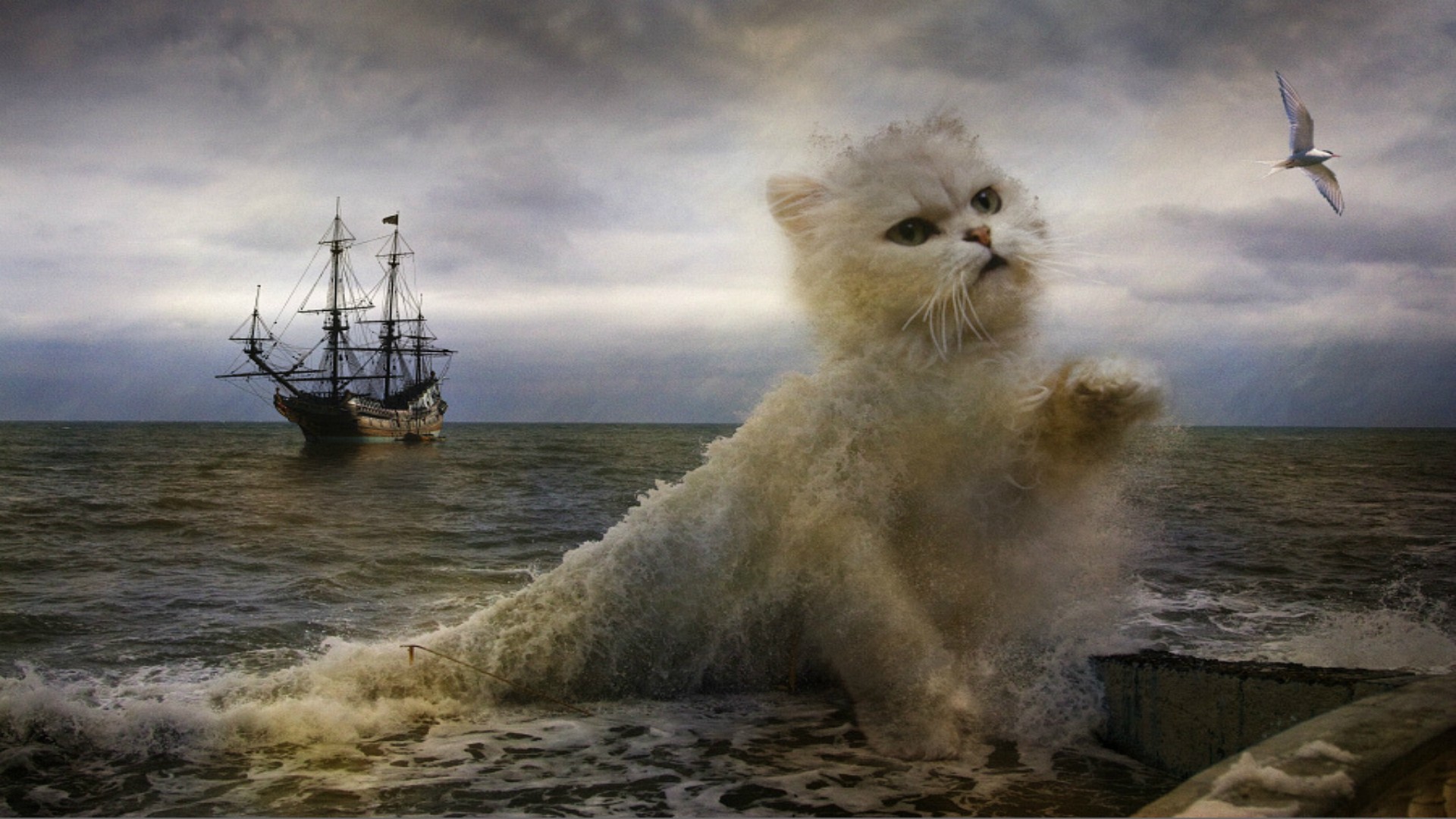General 1920x1080 digital art cats ship fantasy art animals mammals birds sailing ship sea