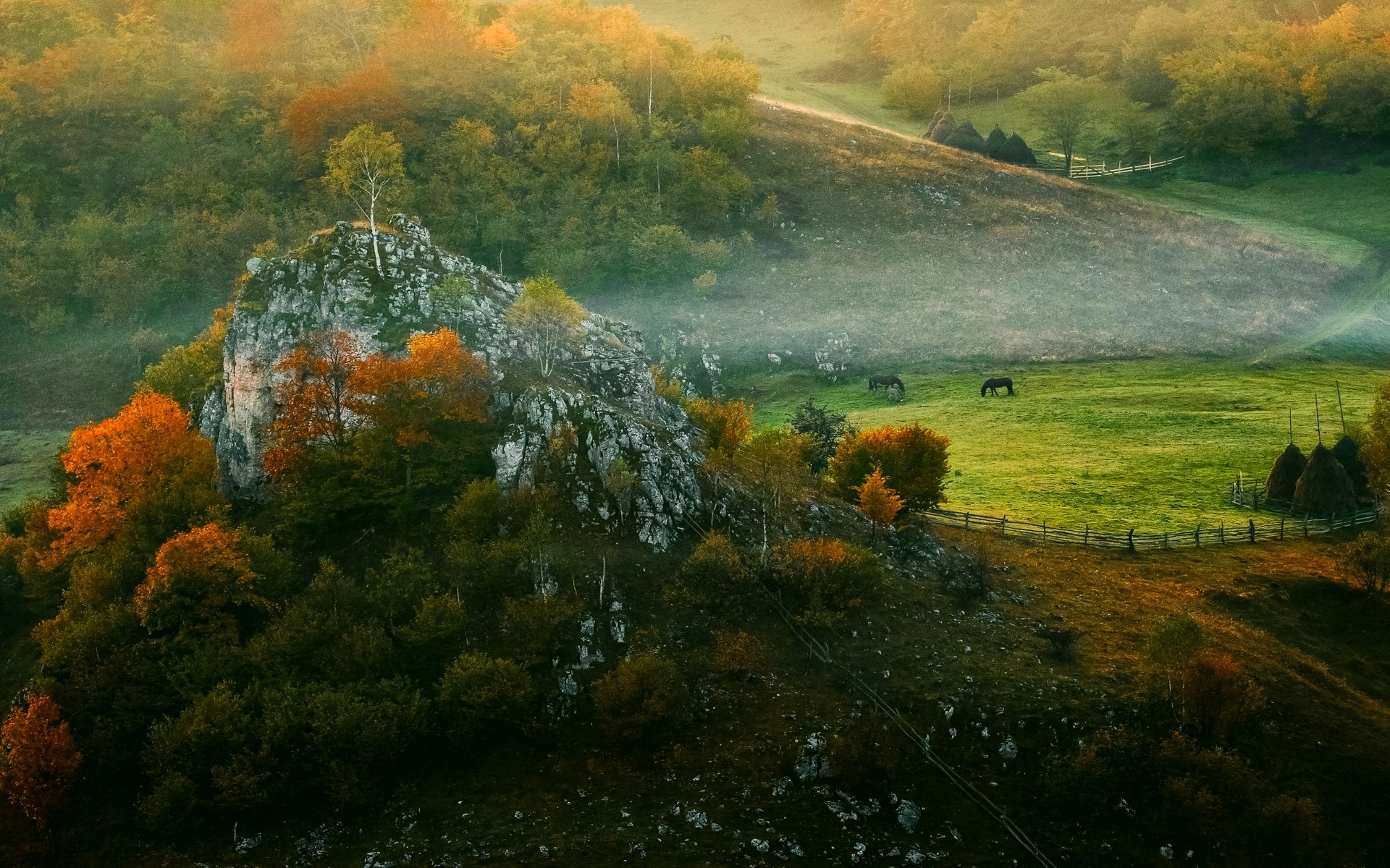 General 1920x1200 landscape nature mist fall forest fence grass horse hut morning rocks trees Romania
