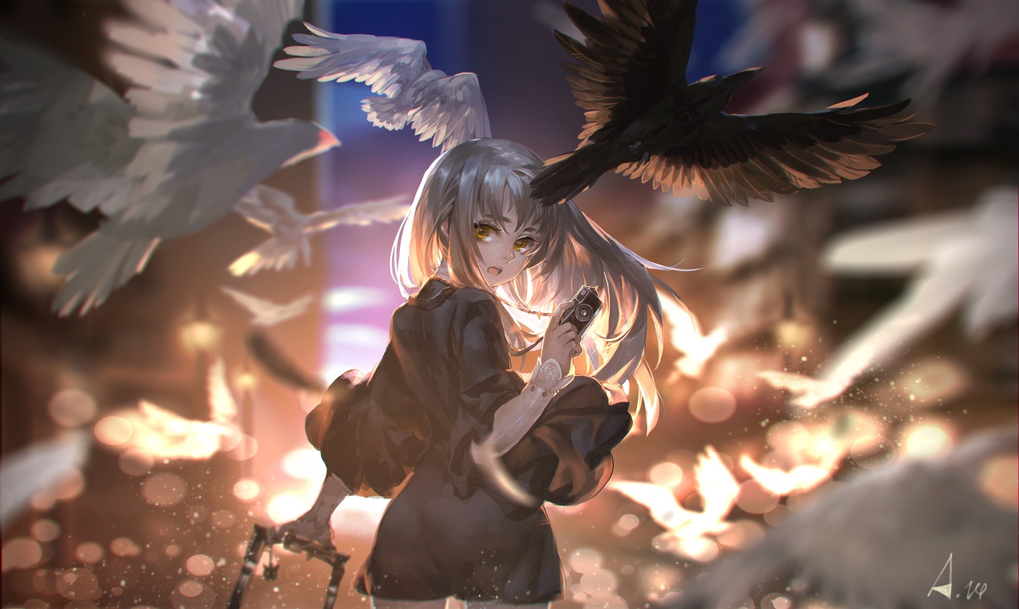 Anime 2086x1247 anime girls pigeons birds anime looking at viewer animals camera