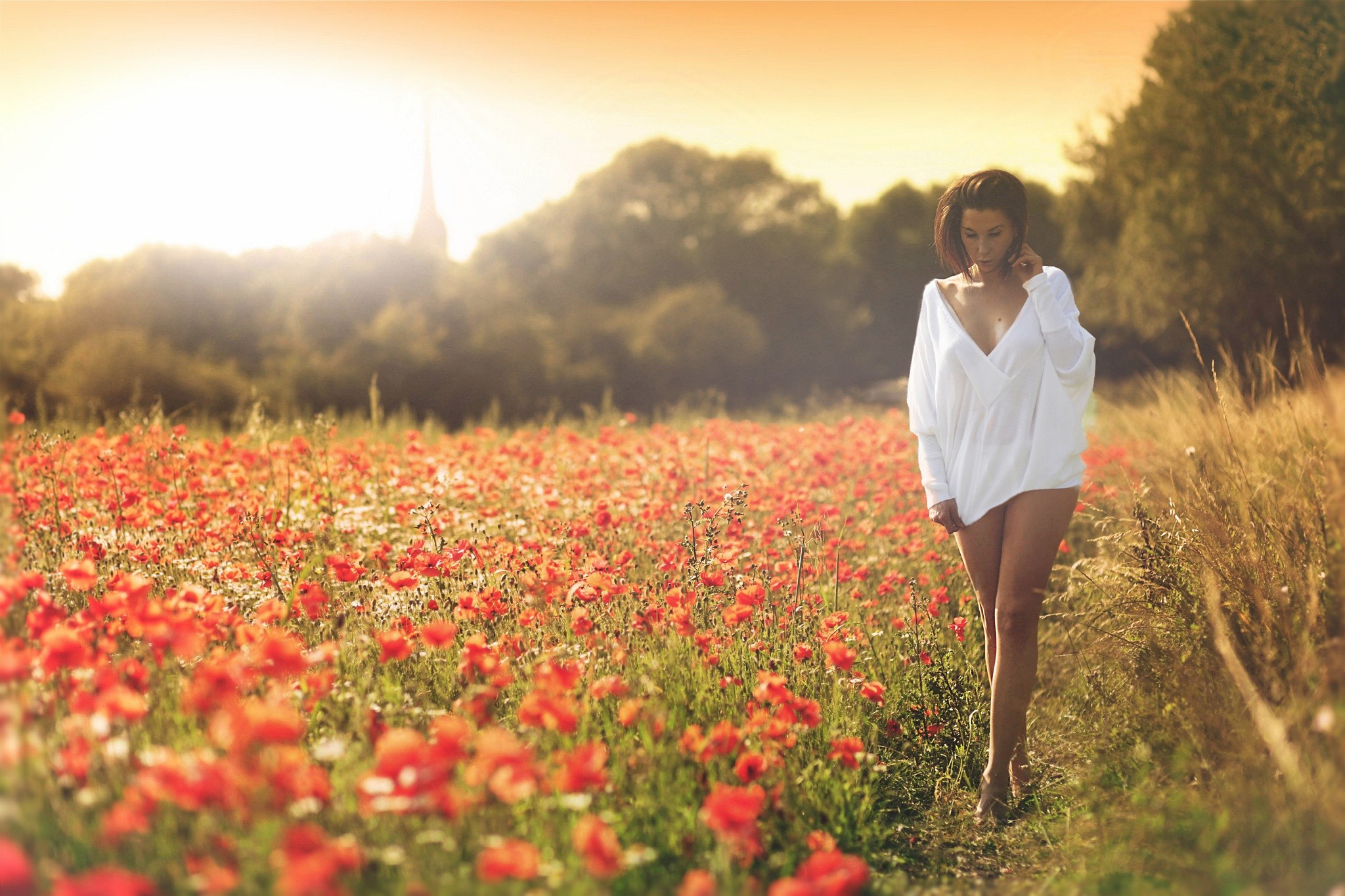 People 2048x1365 women model brunette white clothing women outdoors nature flowers red flowers poppies bottomless field plants partially clothed walking outdoors