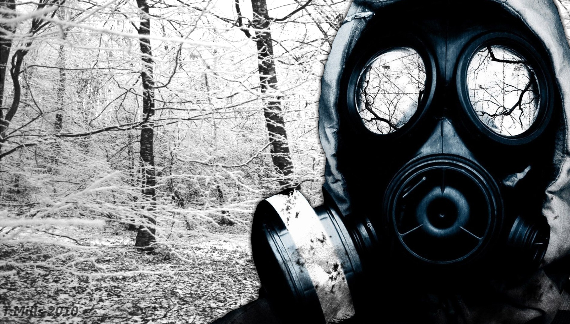 General 1900x1080 gas masks trees winter 2010 (Year) apocalyptic