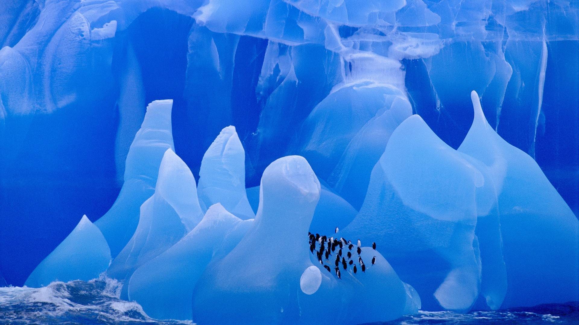 General 1920x1080 ice glacier penguins animals iceberg birds nature blue