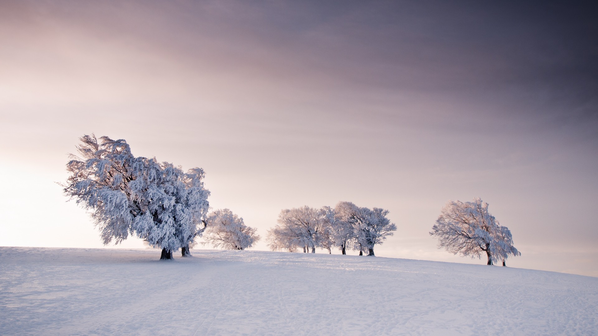 General 1920x1080 nature landscape winter snow field trees overcast sky