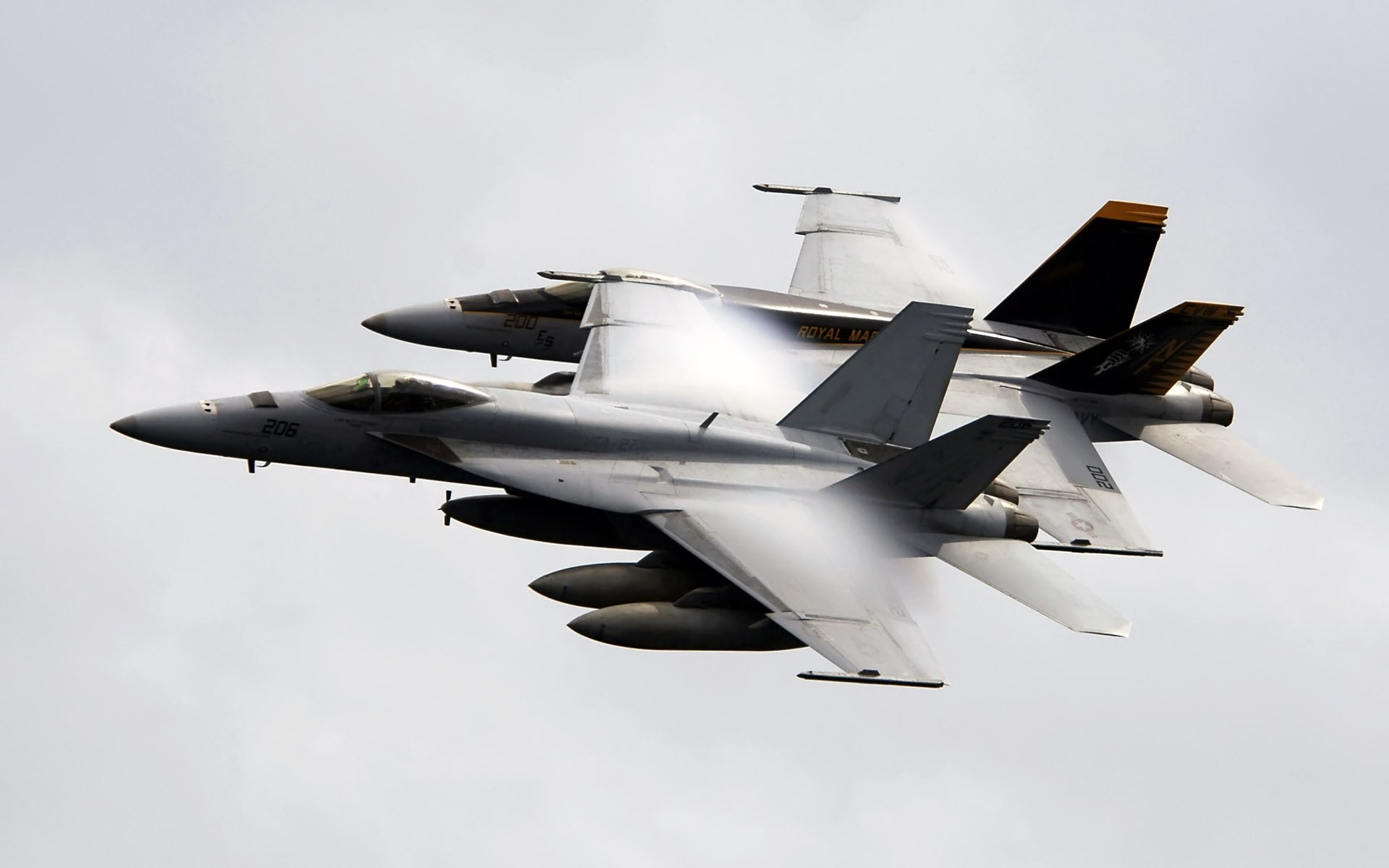 General 1920x1200 airplane McDonnell Douglas F/A-18 Hornet aircraft military vehicle military aircraft military vehicle