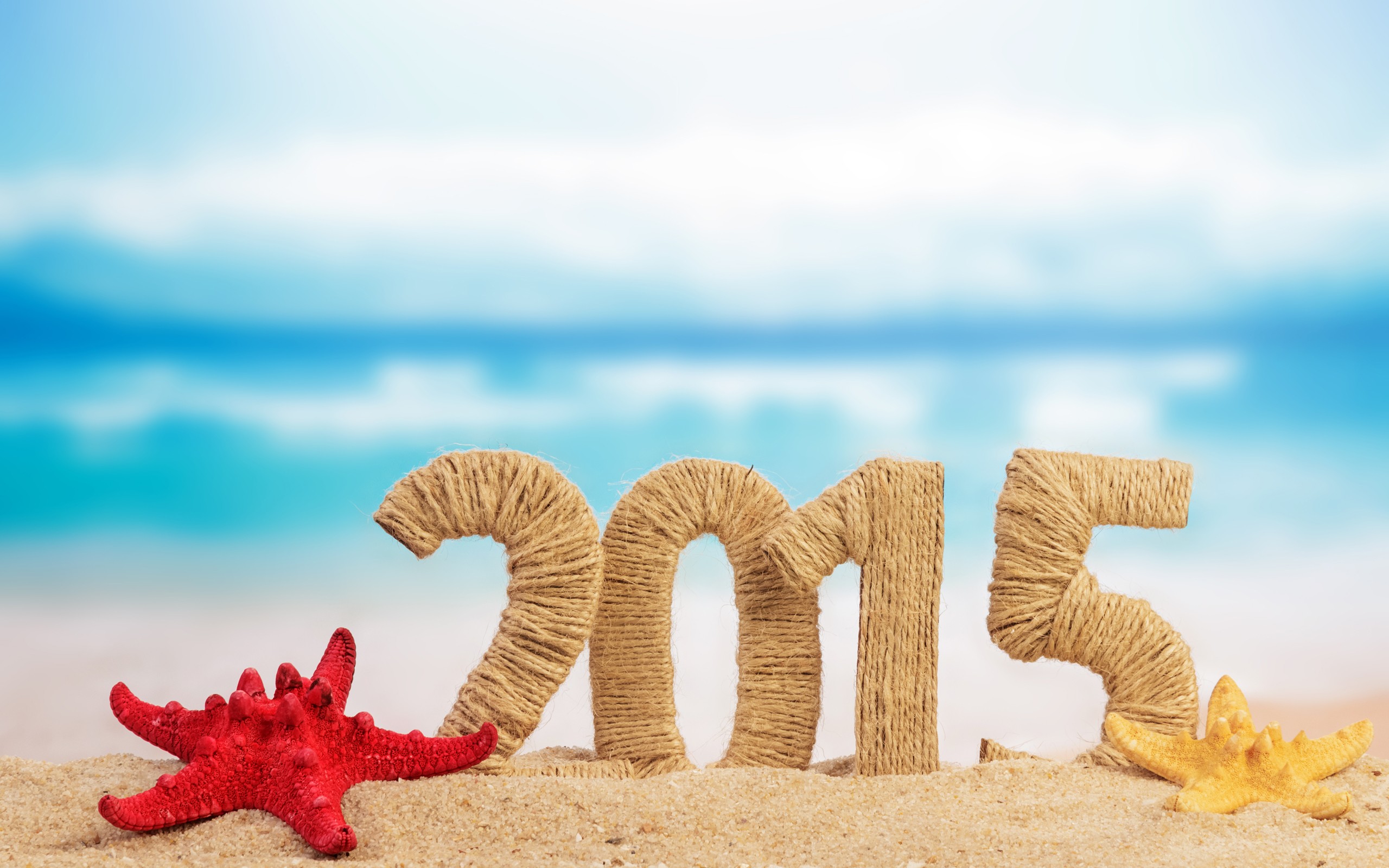 General 2560x1600 Christmas New Year starfish sand holiday 2015 (Year)
