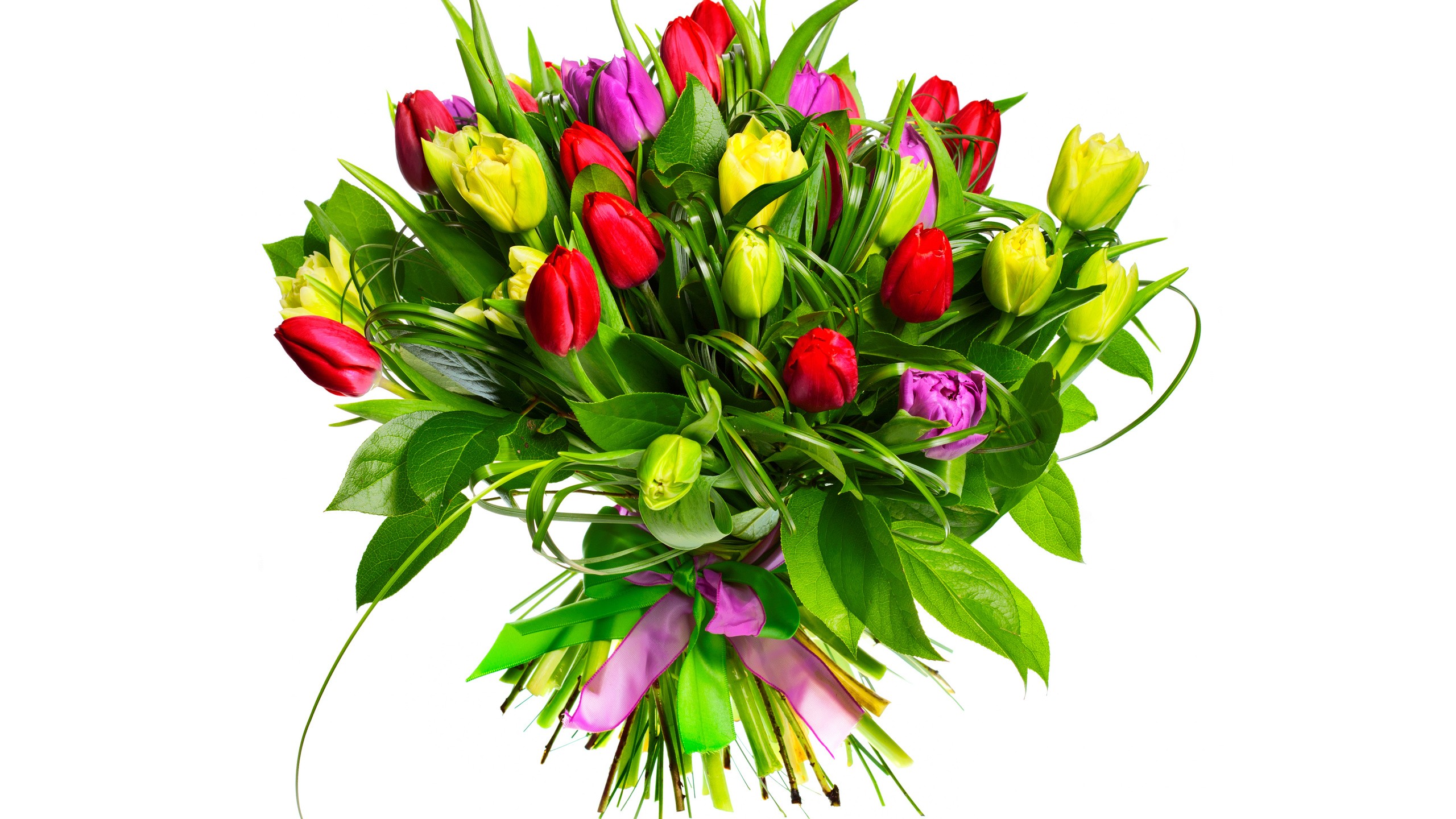 General 2560x1440 flowers bouquets tulips plants colorful simple background white background