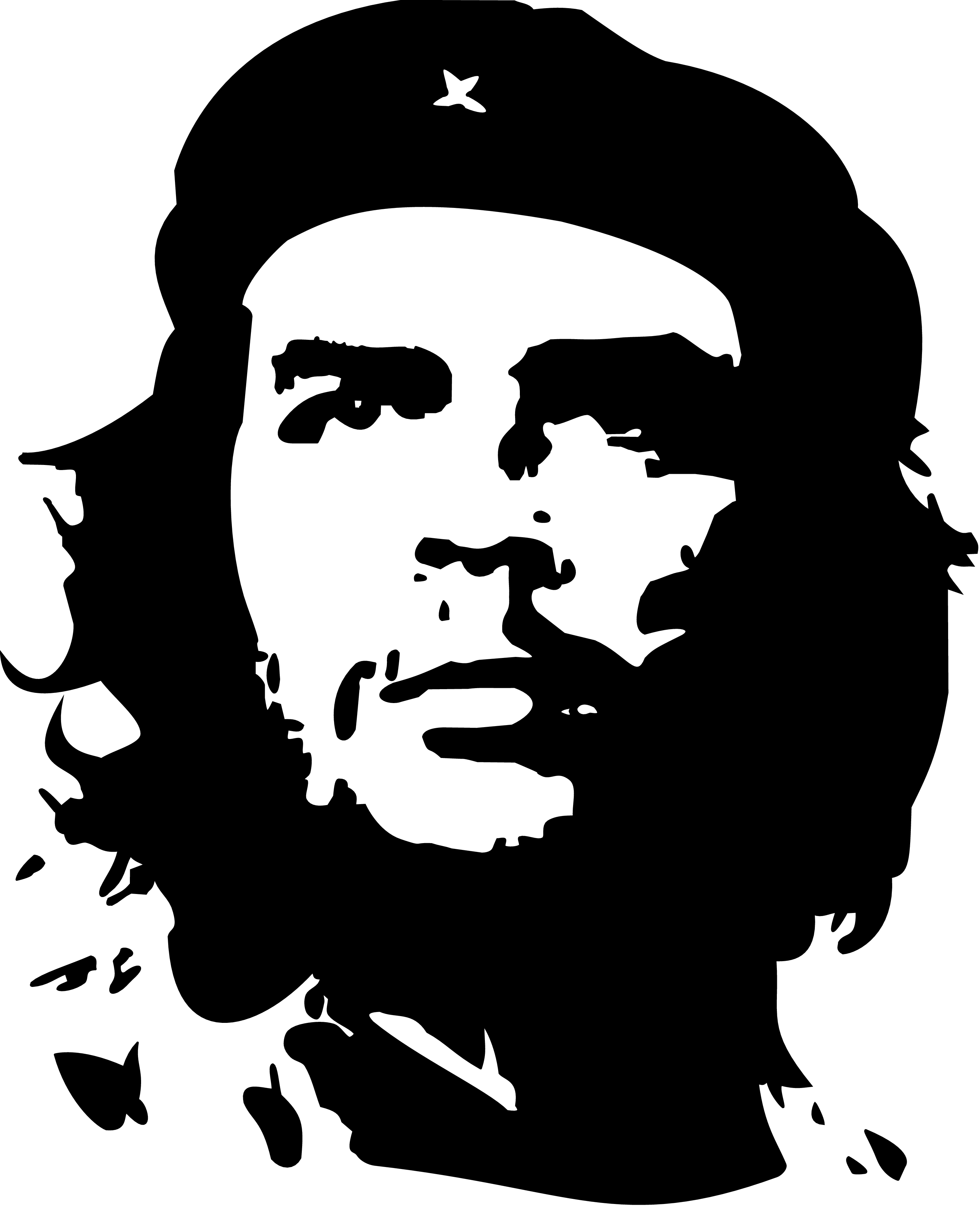 People 2890x3556 Che Guevara revolutionary political figure men