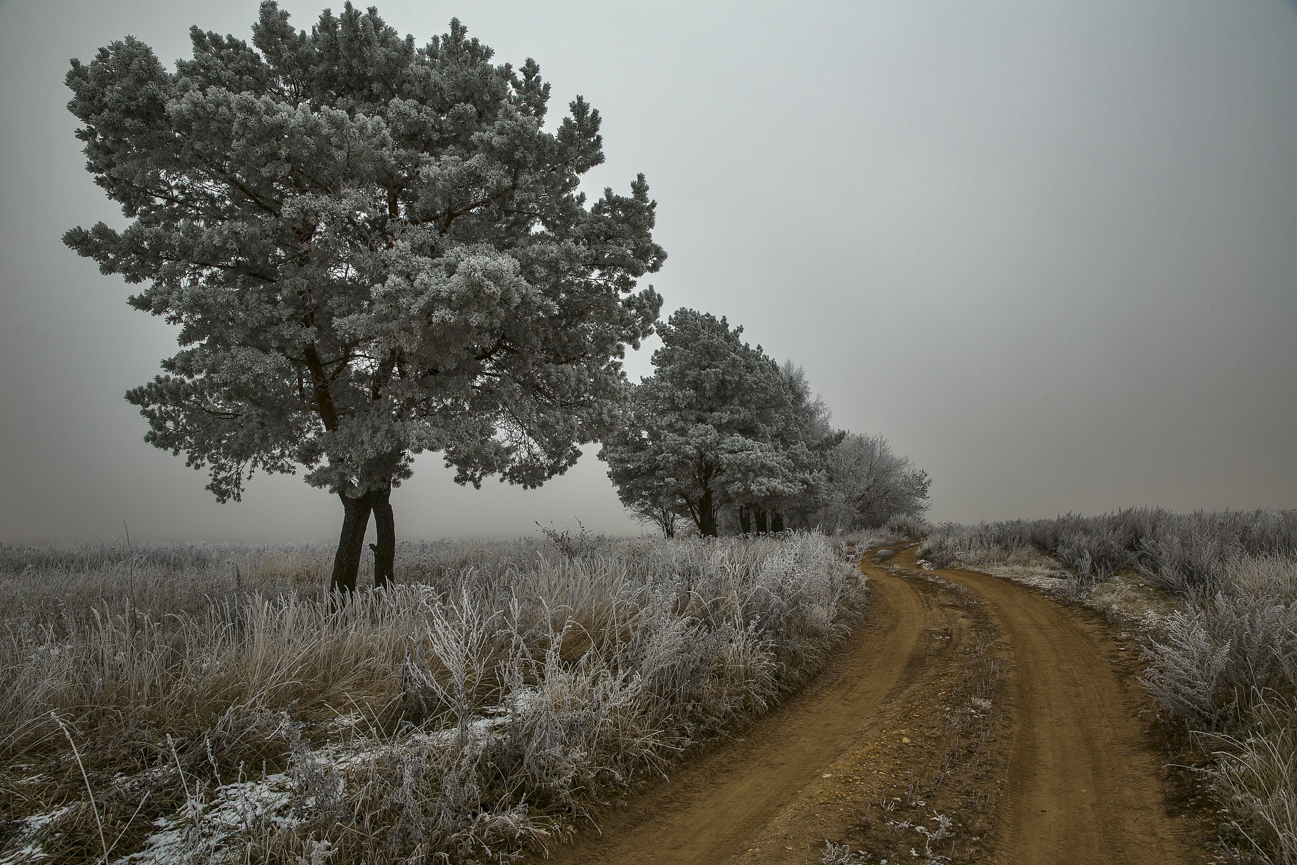 General 2560x1707 nature landscape winter ice snow trees cold dirt road outdoors