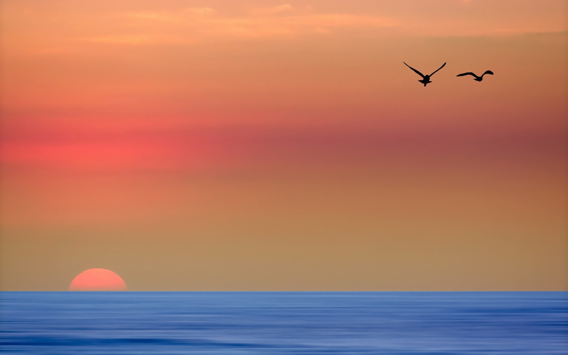 General 1920x1200 sea sky sunset horizon birds Sun nature digital art simple background