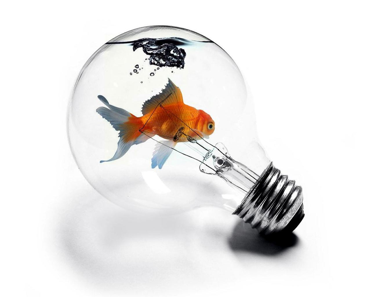 General 1280x1024 goldfish light bulb digital art technology simple background animals fish white background