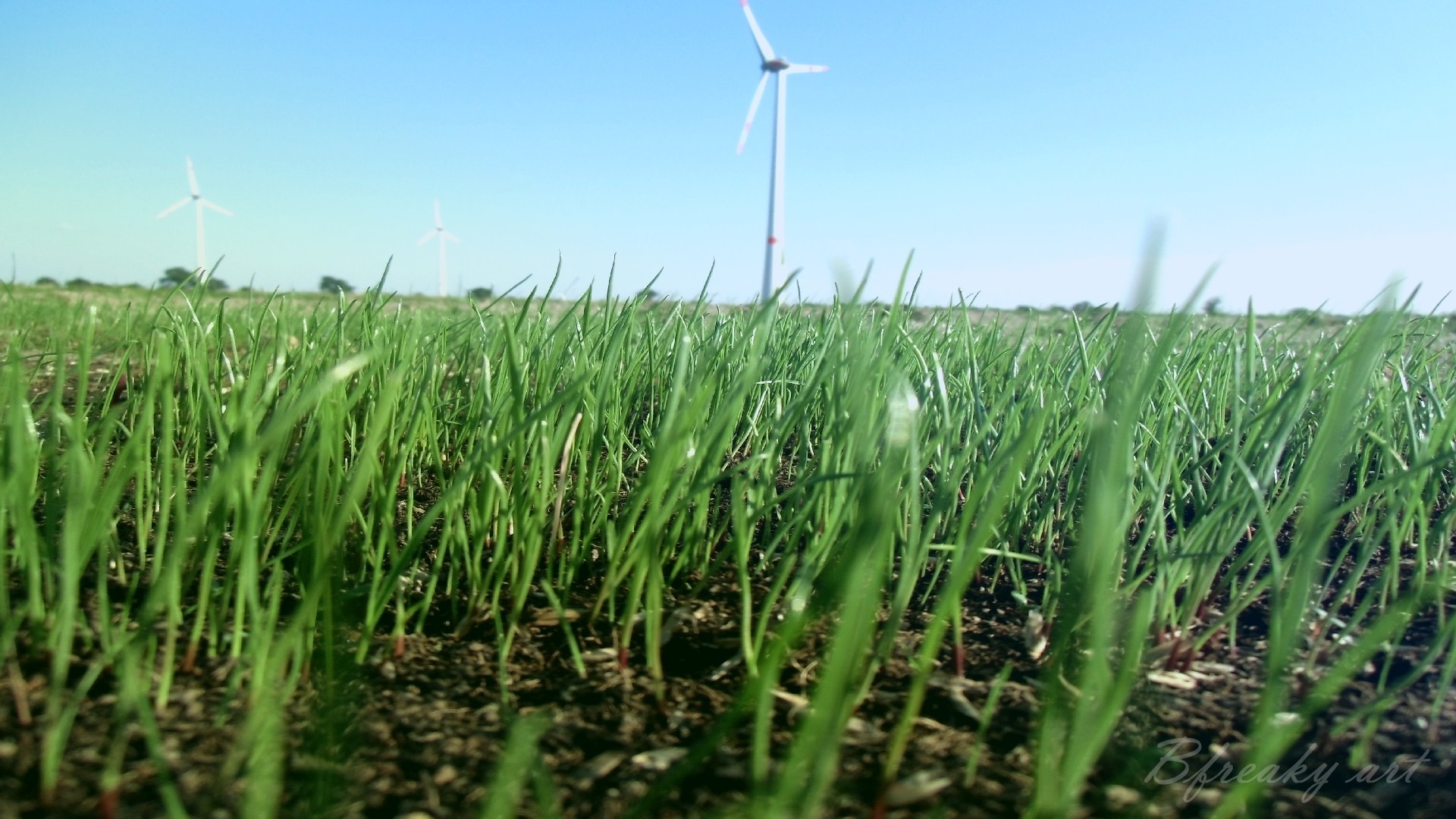 General 1920x1080 grass landscape Agro (Plants) plants field wind turbine