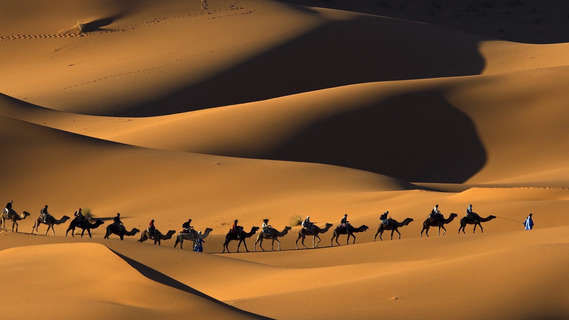 General 1920x1080 nature landscape camels sand desert shadow people animals dunes Africa foot prints mammals Morocco