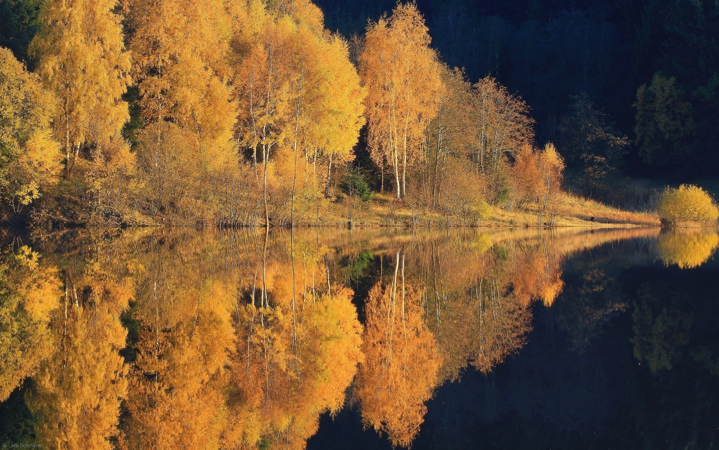 General 2500x1563 nature landscape lake forest fall water reflection trees calm yellow hills
