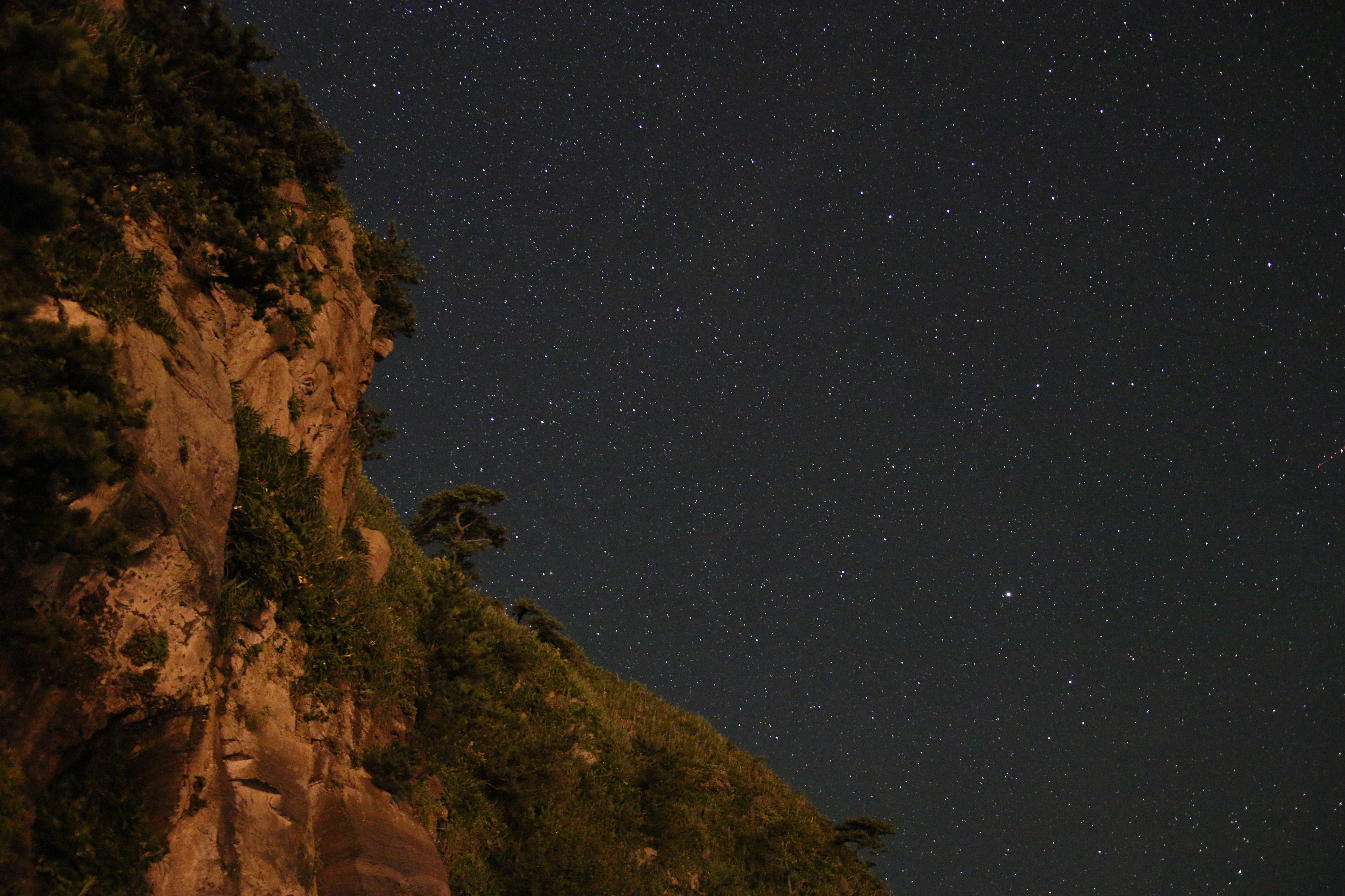General 5472x3648 stars landscape starry night starred sky night trees nature looking up rocks