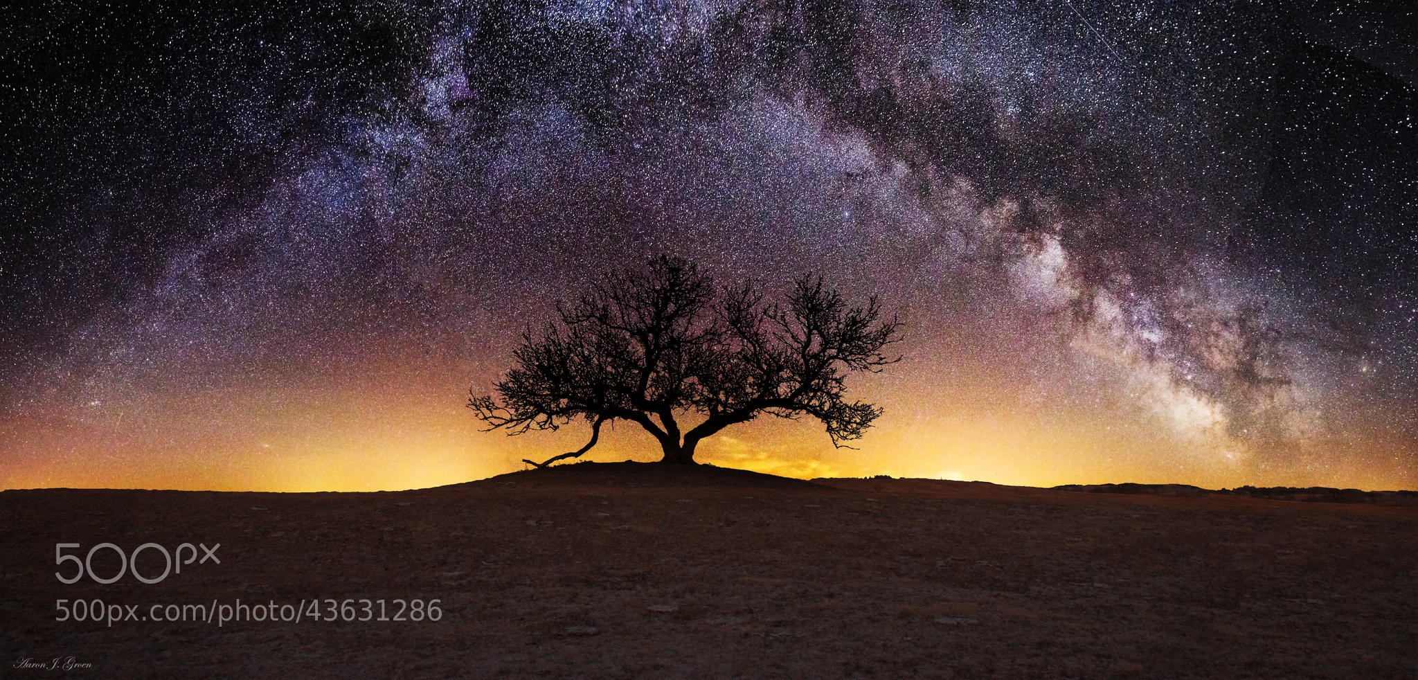 General 2048x982 trees sky 500px stars nature