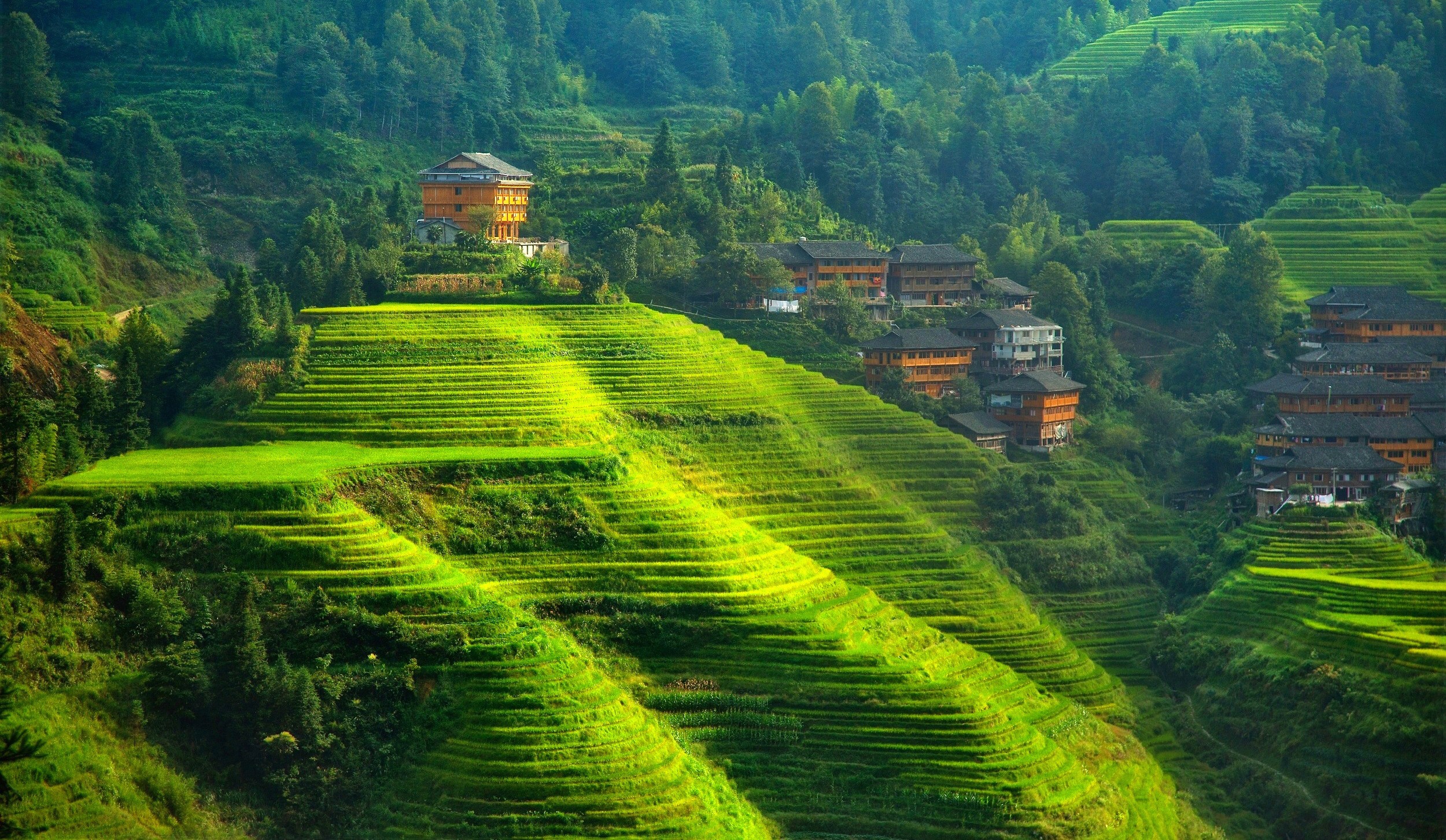 General 2500x1453 terraced field landscape hills China Agro (Plants) Asia