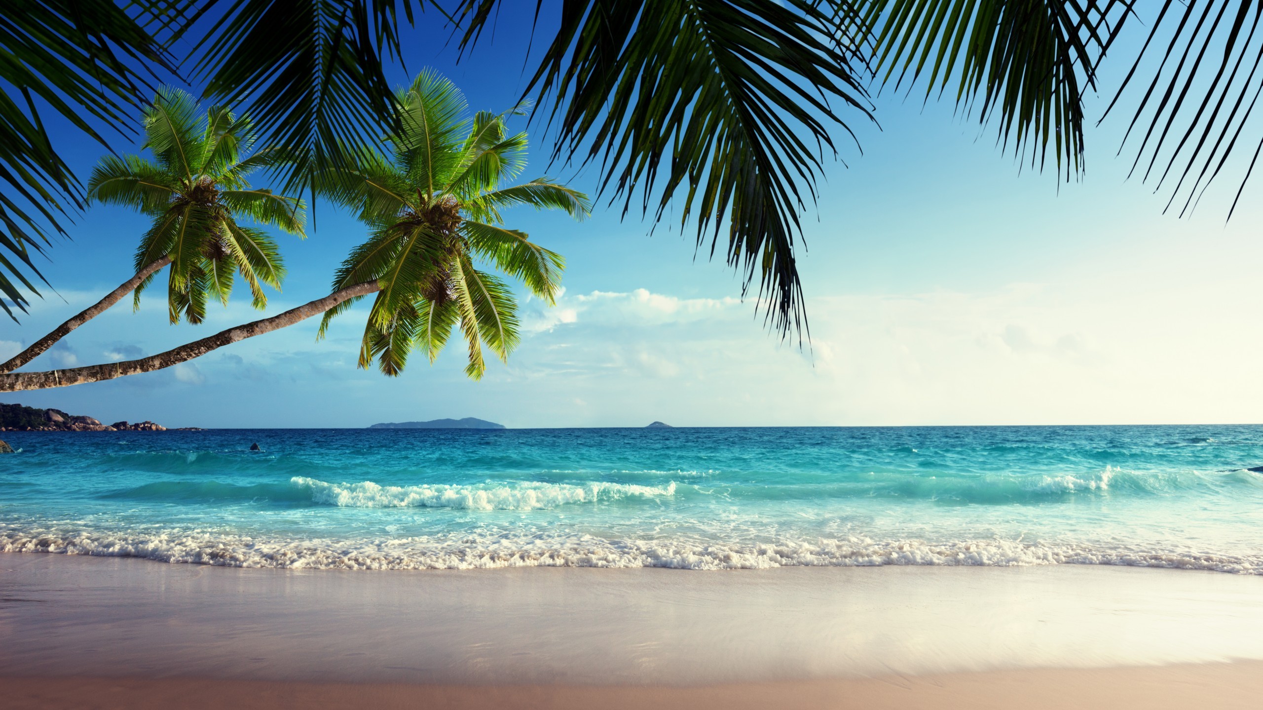 General 2560x1440 beach sand tropical island palm trees sea waves