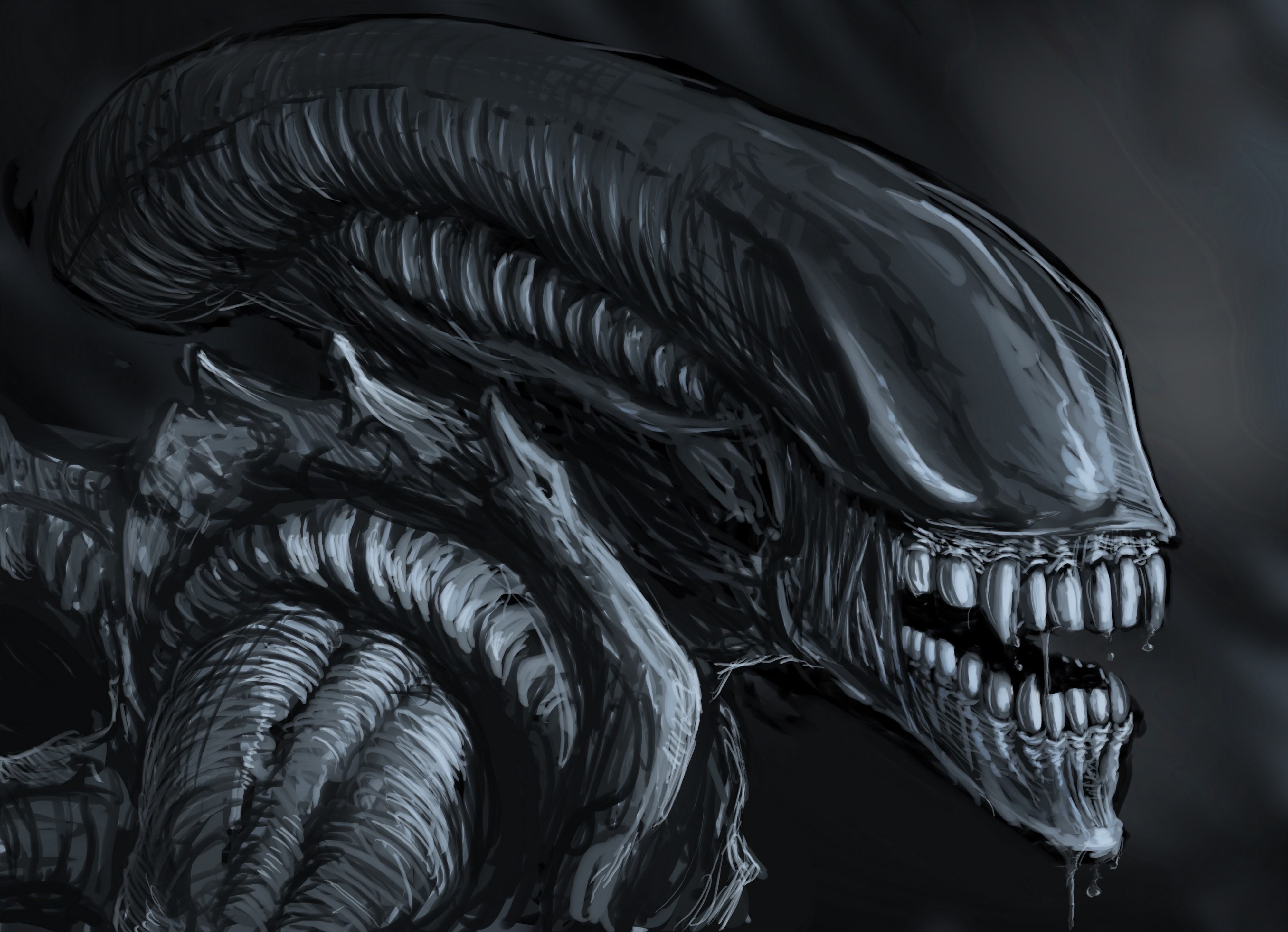 General 4000x2896 artwork Xenomorph Alien (Creature) creature science fiction horror movie characters