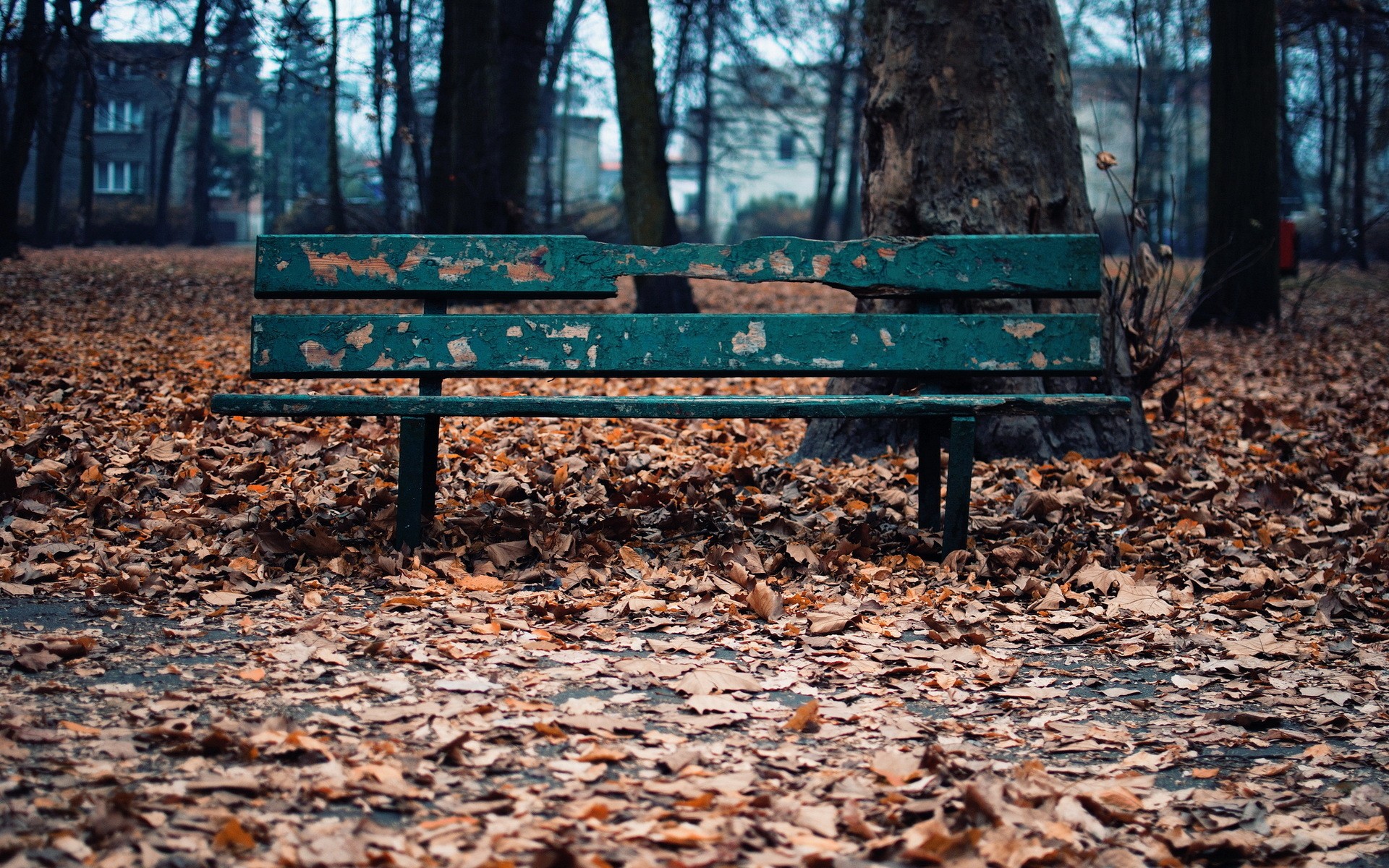 General 1920x1200 fall bench leaves