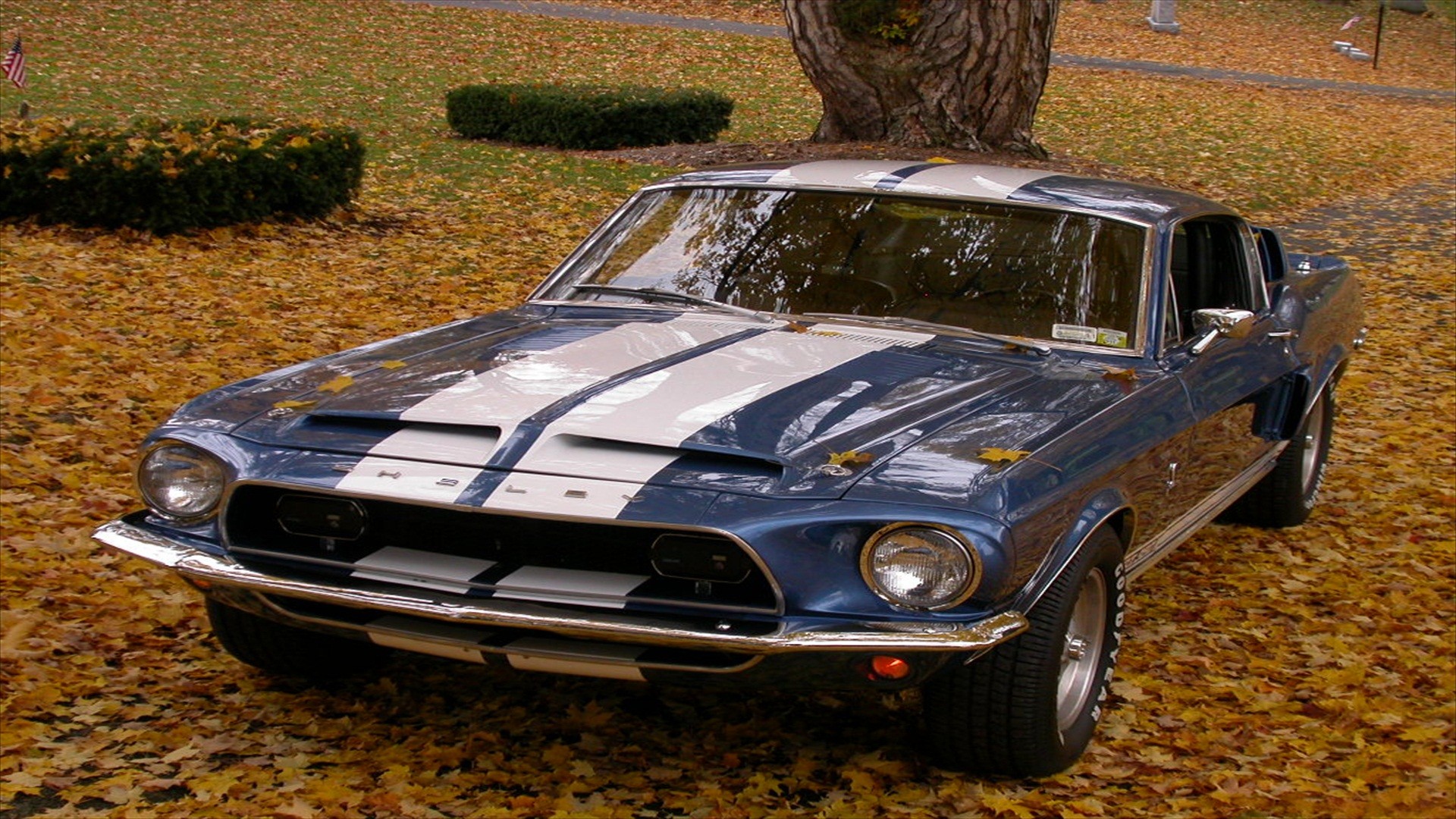 General 1920x1080 Shelby car blue cars vehicle Ford Ford Mustang muscle cars American cars racing stripes