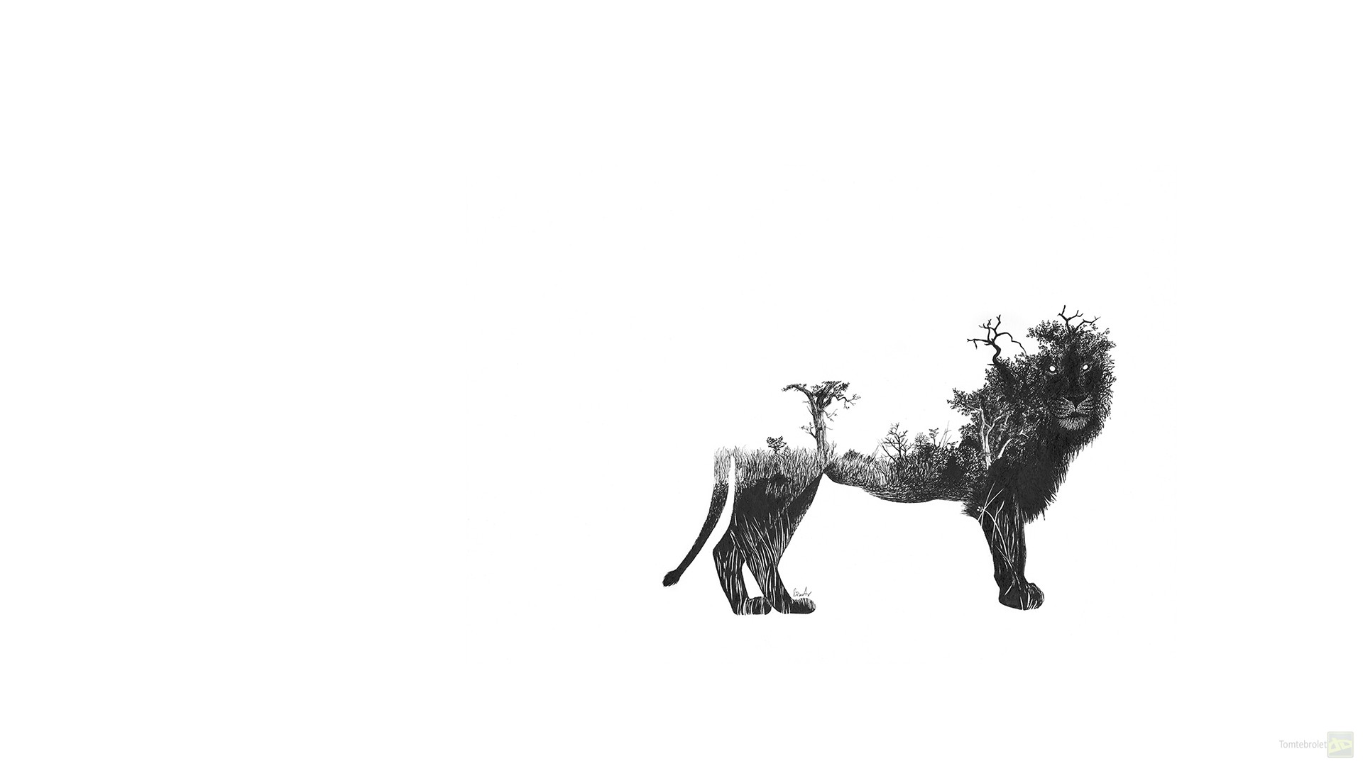 General 1920x1080 fantasy art lion Africa animals minimalism mammals big cats simple background white background