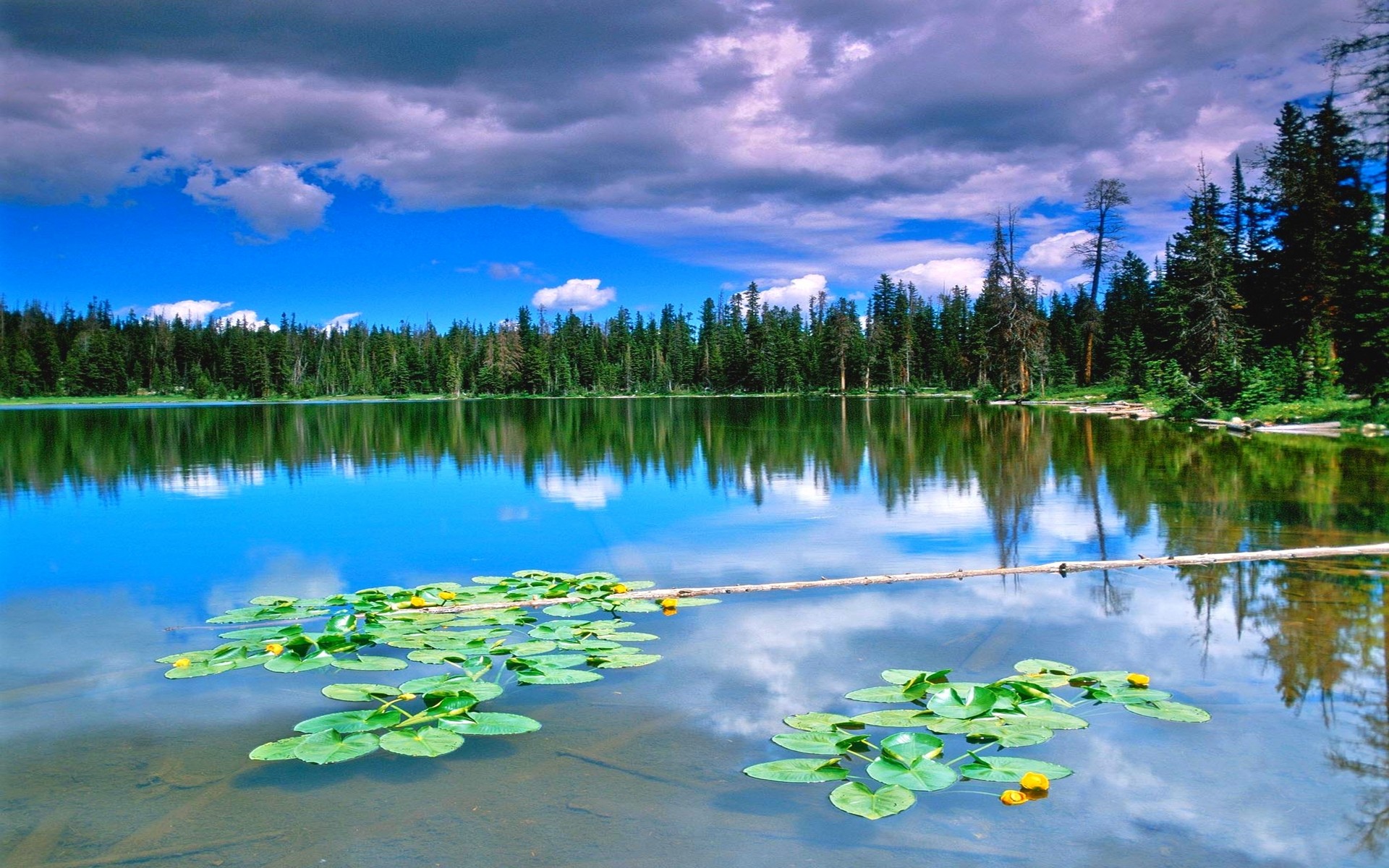 General 1920x1200 nature landscape lake forest reflection clouds water green blue