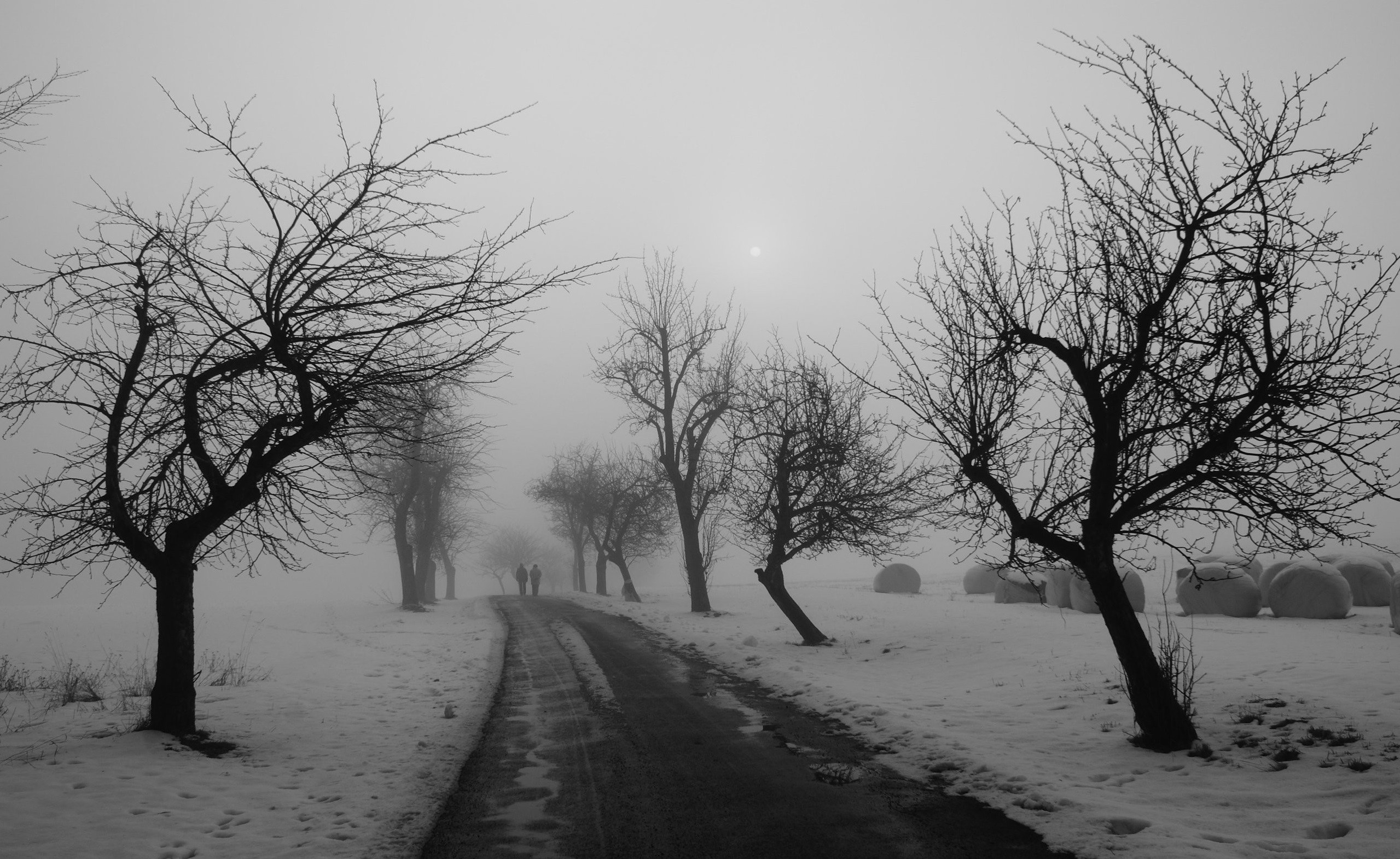 General 2559x1571 photography nature landscape winter trees road snow people gloomy mist monochrome