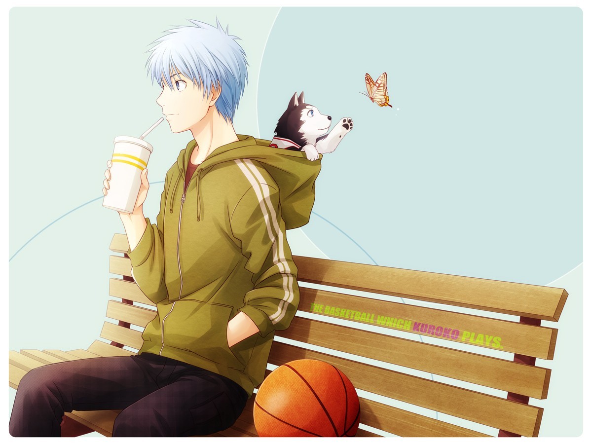 Anime 1200x900 anime Kuroko no Basket anime boys bench blue hair animals ball simple background