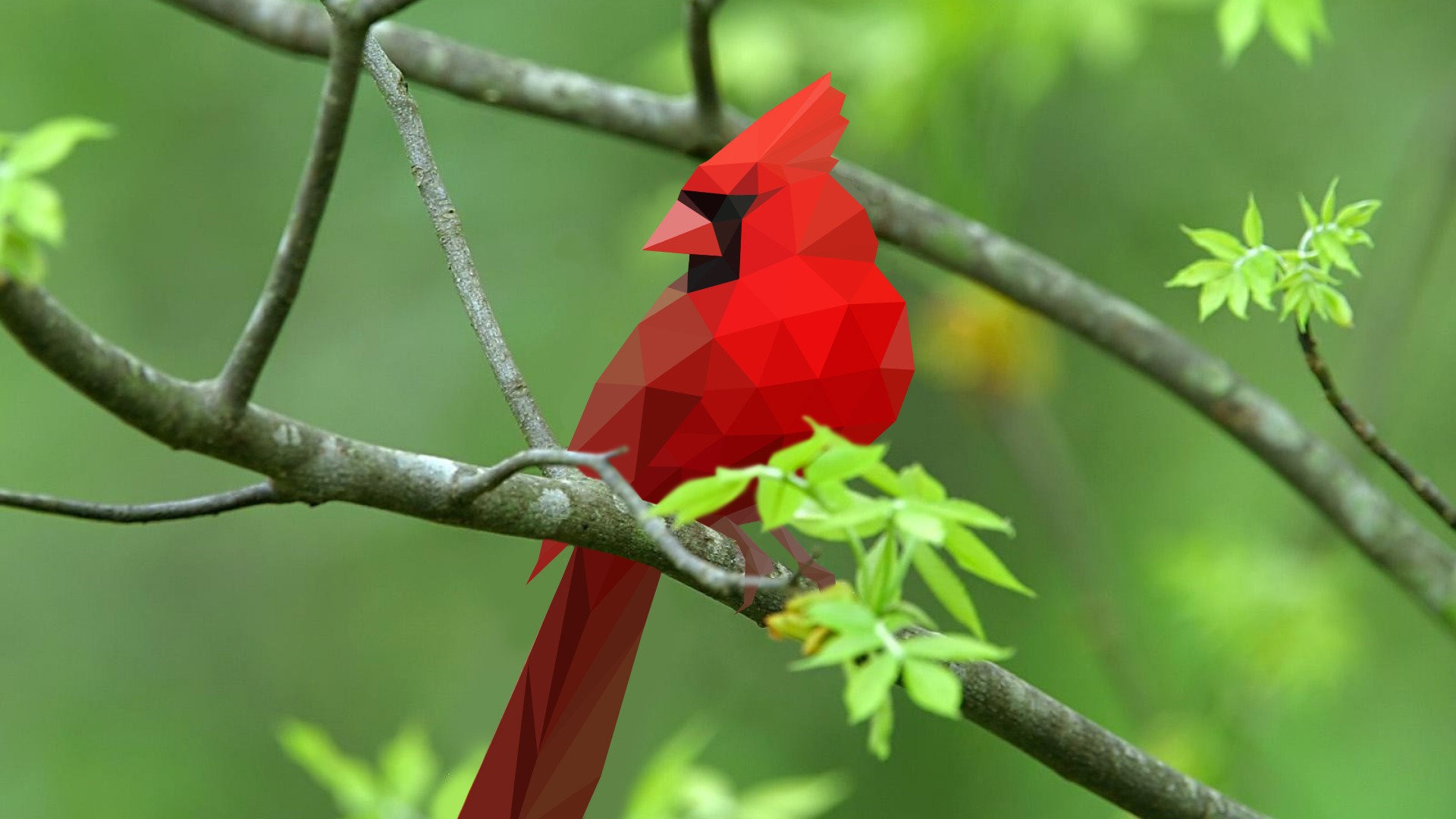 General 1920x1080 birds cardinals abstract geometry digital art animals twigs