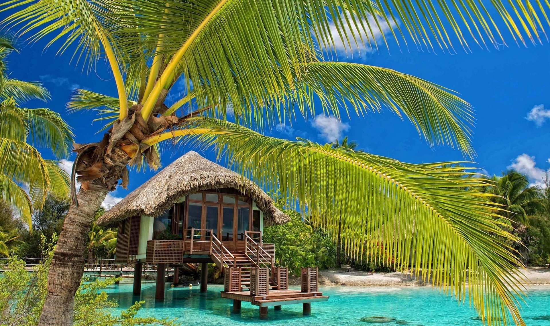 General 1920x1140 palm trees resort beach tropical water bungalow sea summer nature landscape