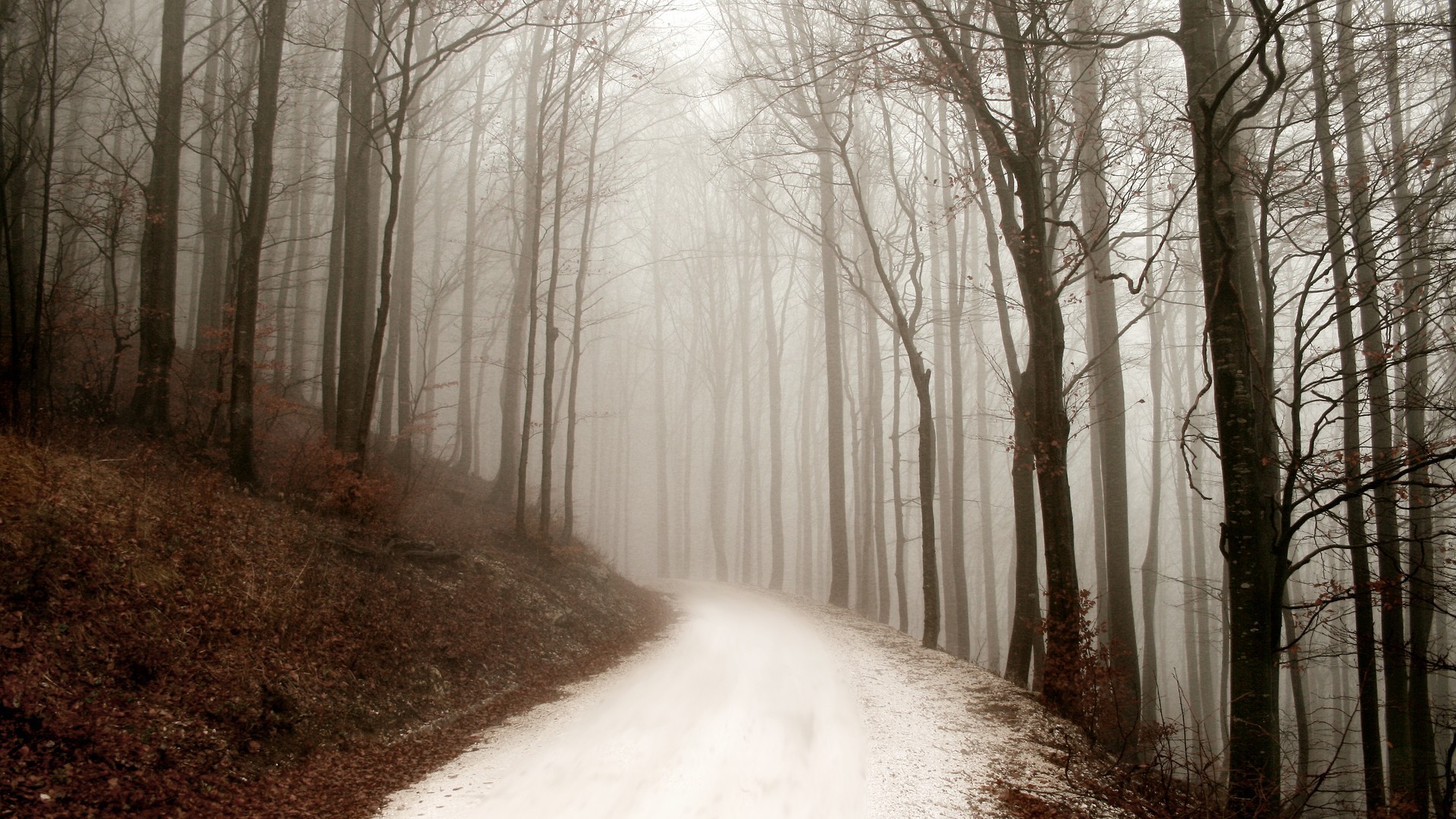 General 1920x1080 seasons winter path forest mist cold outdoors