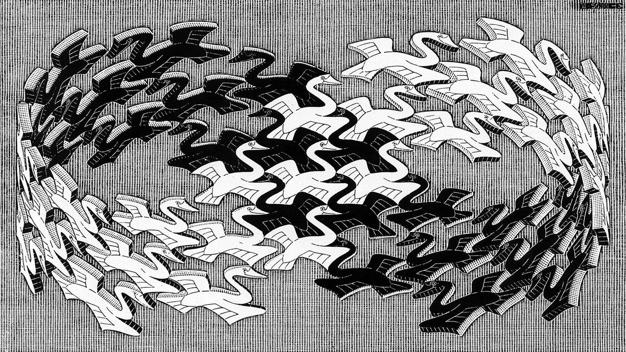 General 2048x1152 artwork M. C. Escher monochrome psychedelic animals birds flying CGI Mobius strip optical illusion