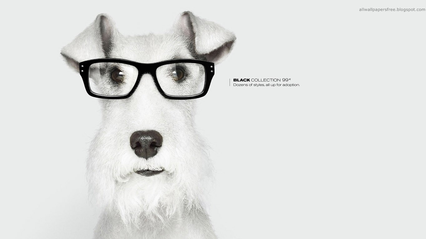 General 1366x768 artwork dog glasses advertisements animals