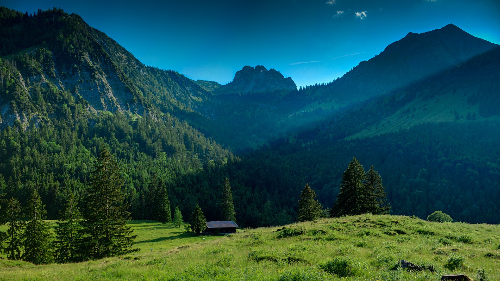 General 1920x1080 landscape nature valley trees pine trees mountains forest sunlight field cabin