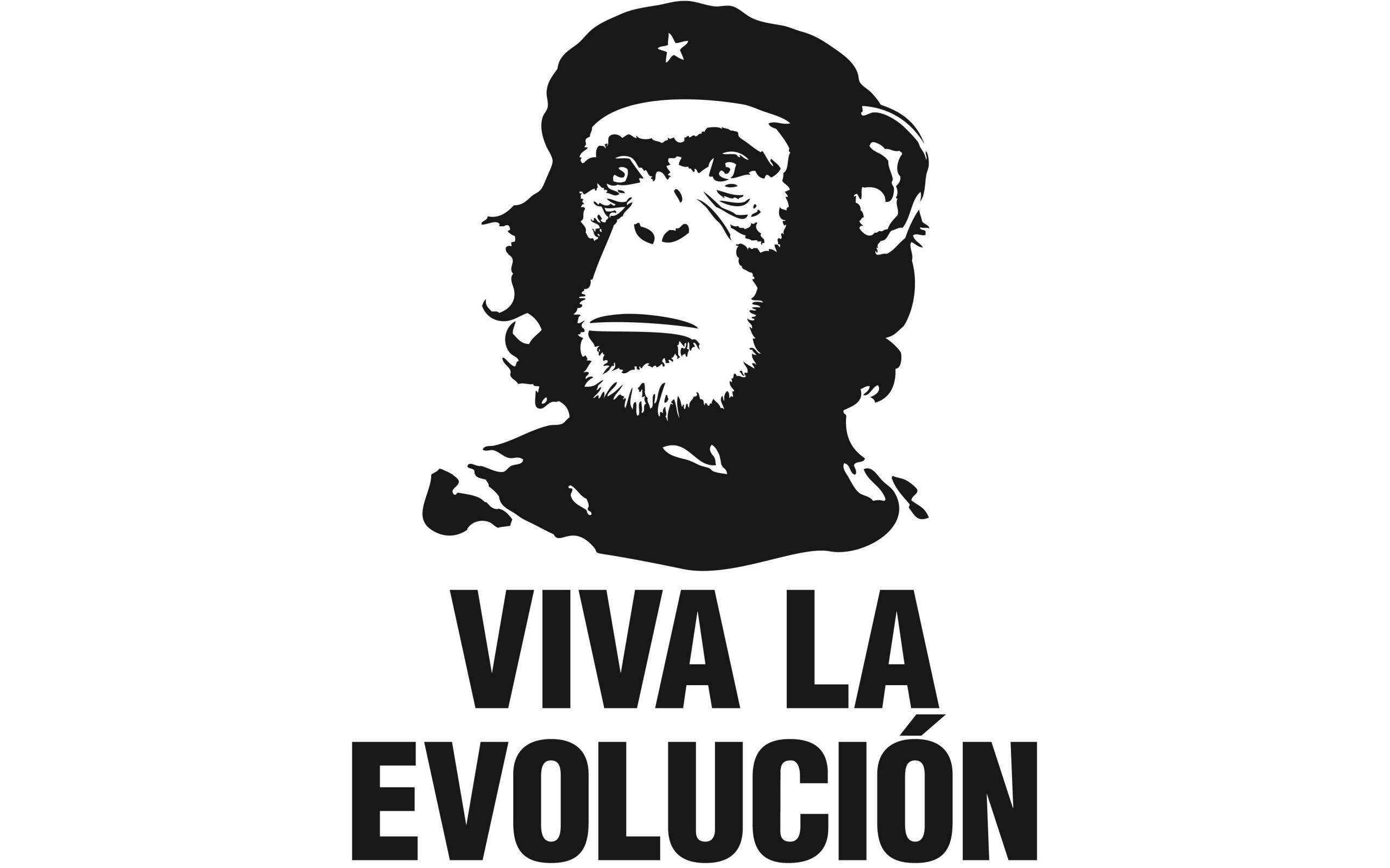 General 2560x1600 humor white background Che Guevara minimalism chimpanzees evolution