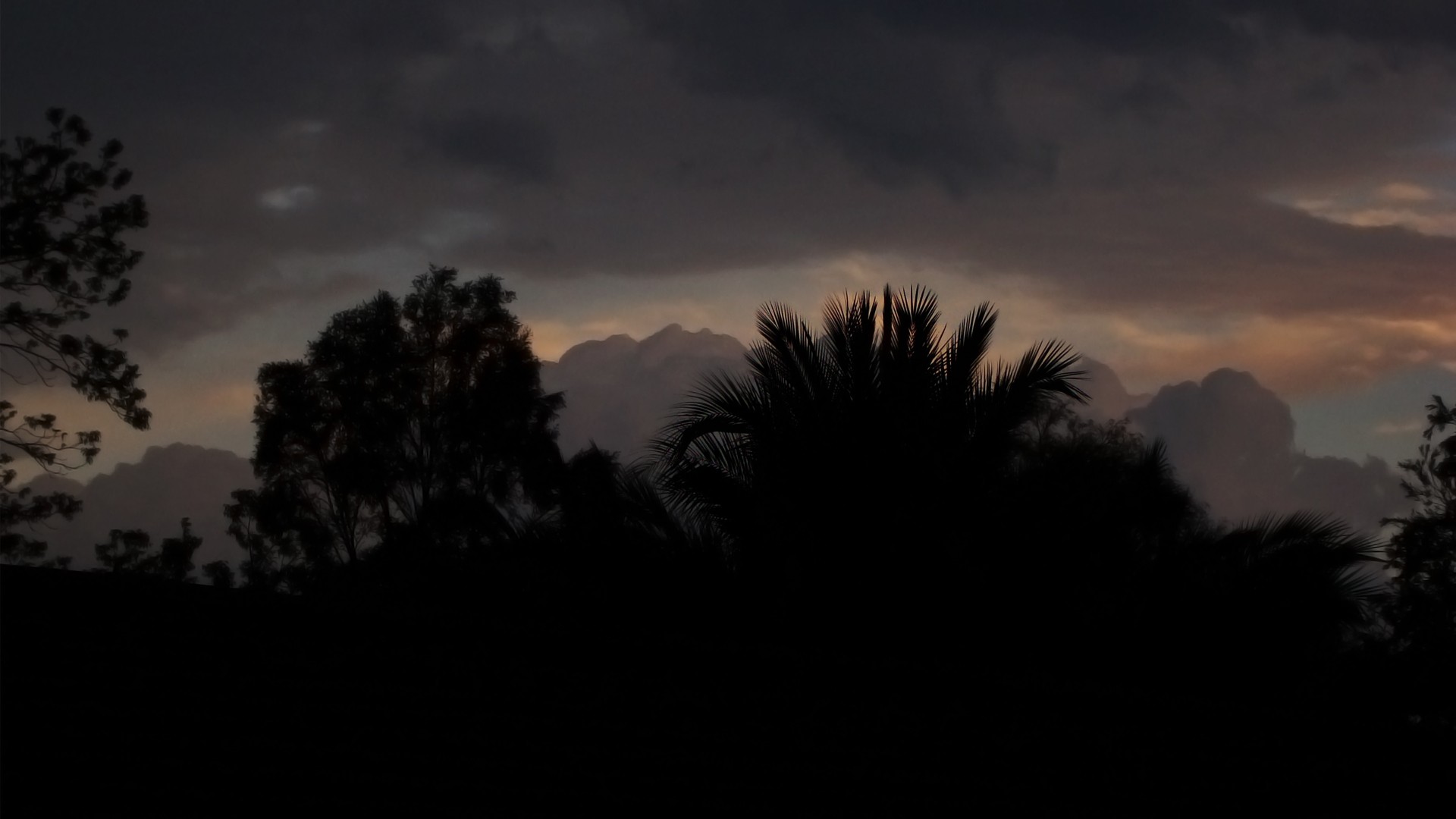 General 1920x1080 landscape nature dark palm trees clouds