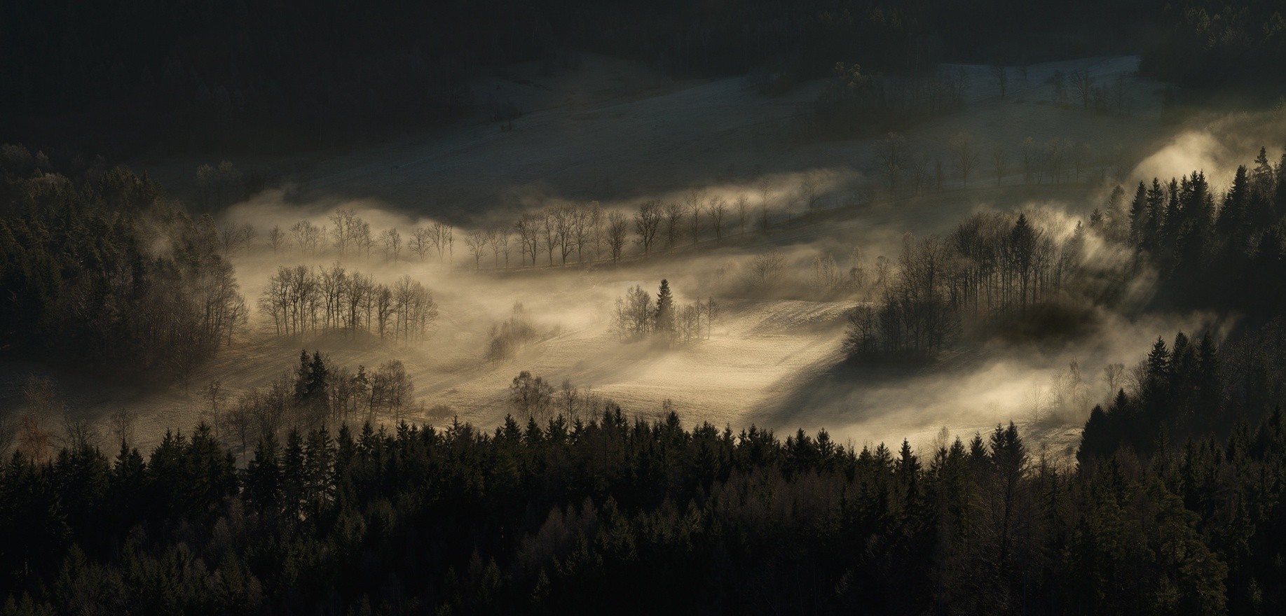General 1835x880 nature landscape mist forest hills trees morning