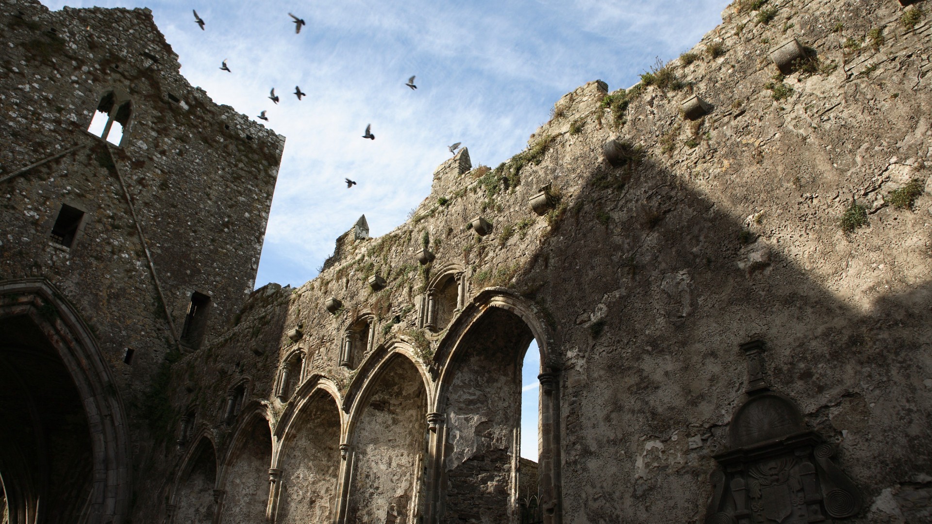 General 1920x1080 church abandoned Ireland cathedral Rock of Cashel ruins birds