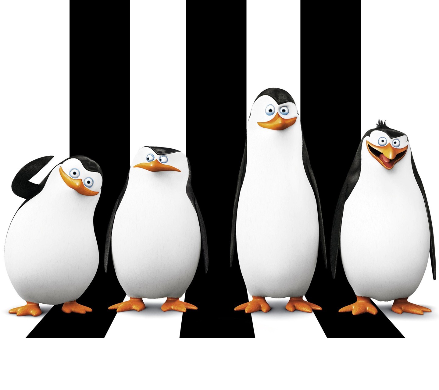 General 1440x1280 movies animated movies humor Penguins of Madagascar animals birds