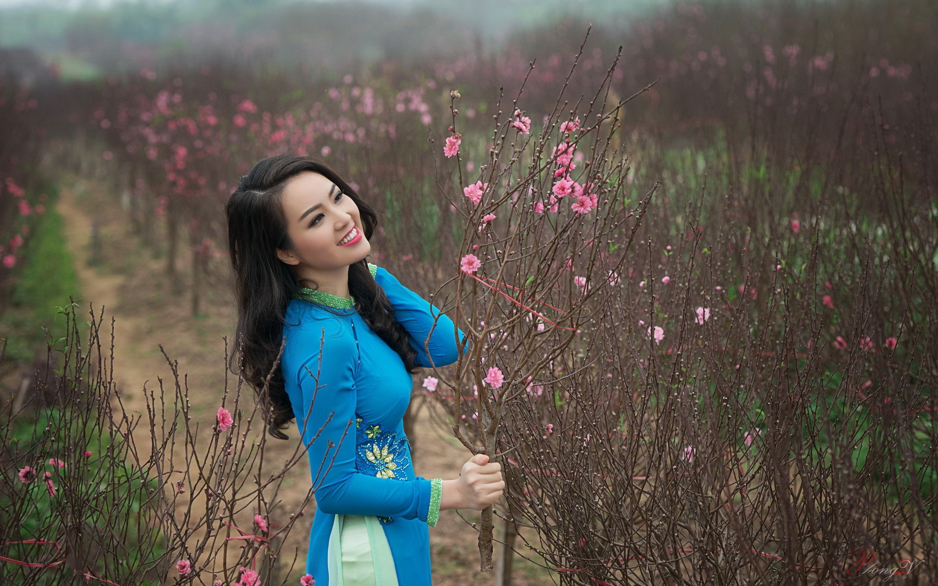 People 1920x1200 women outdoors Asian women model Vietnam dress áo dài Vietnamese Vietnam blue dress blue clothing plants long hair
