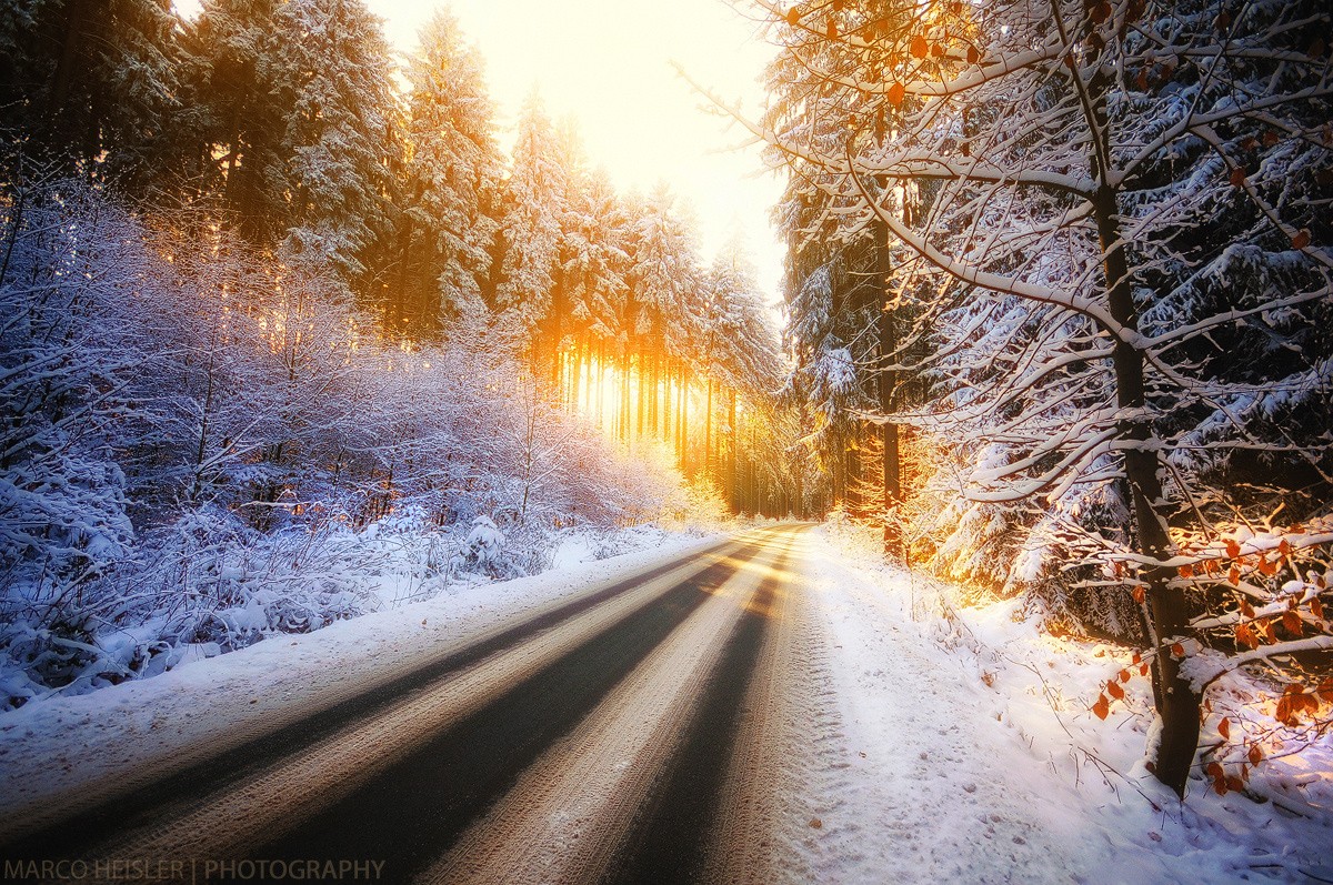 General 1200x797 winter road sunlight trees watermarked cold outdoors