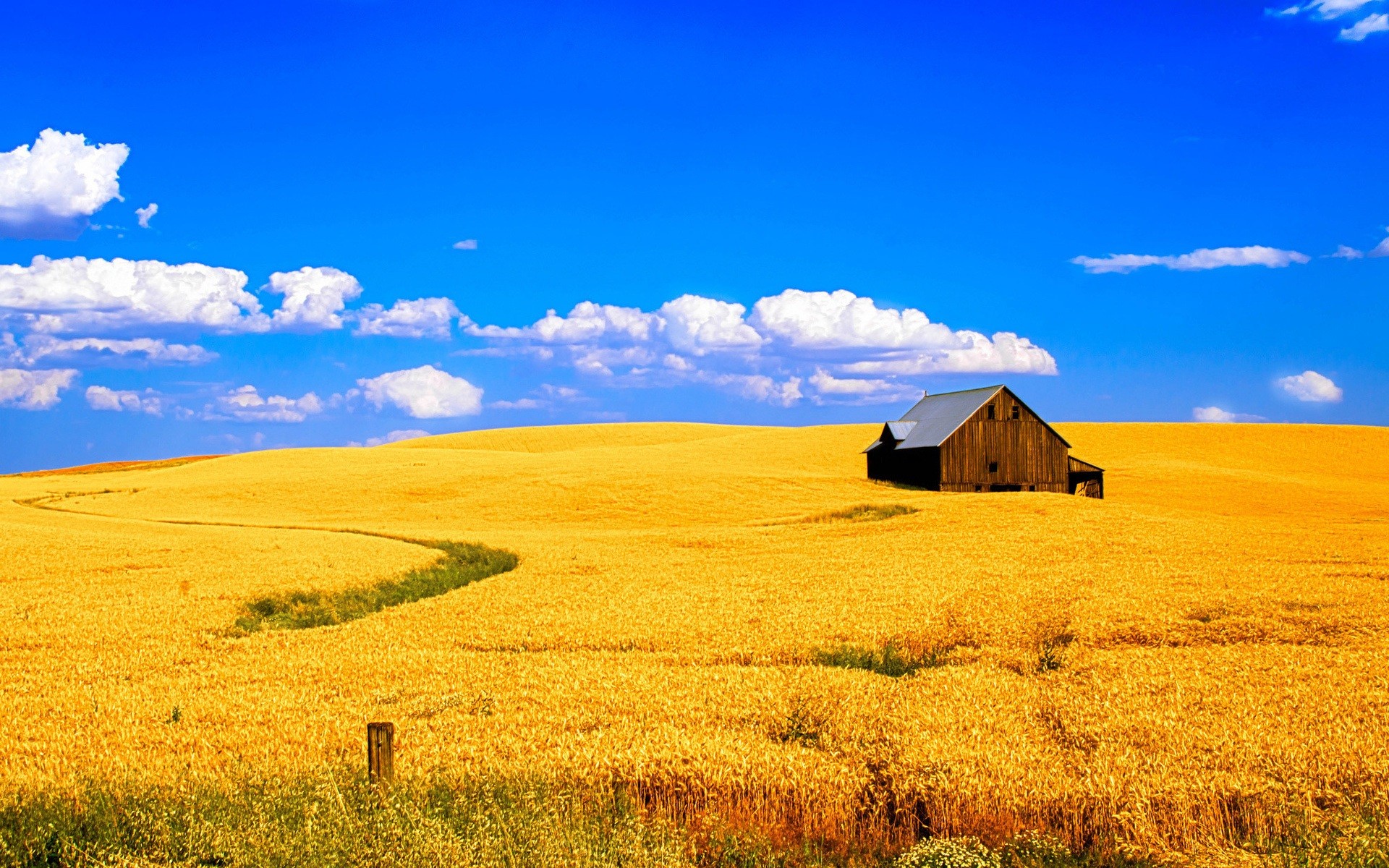 General 1920x1200 landscape wheat field barns crops yellow clouds Agro (Plants) outdoors plants