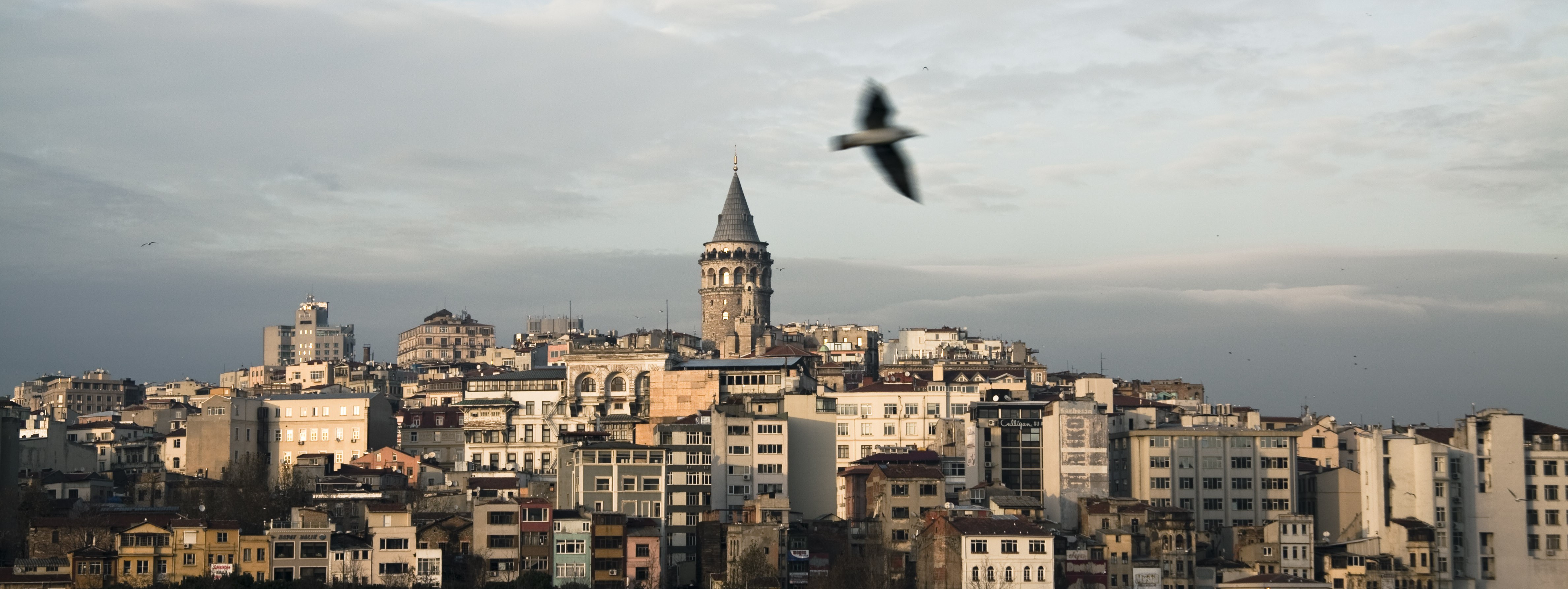 General 4752x1786 galata cityscape birds animals city sky Turkey Istanbul