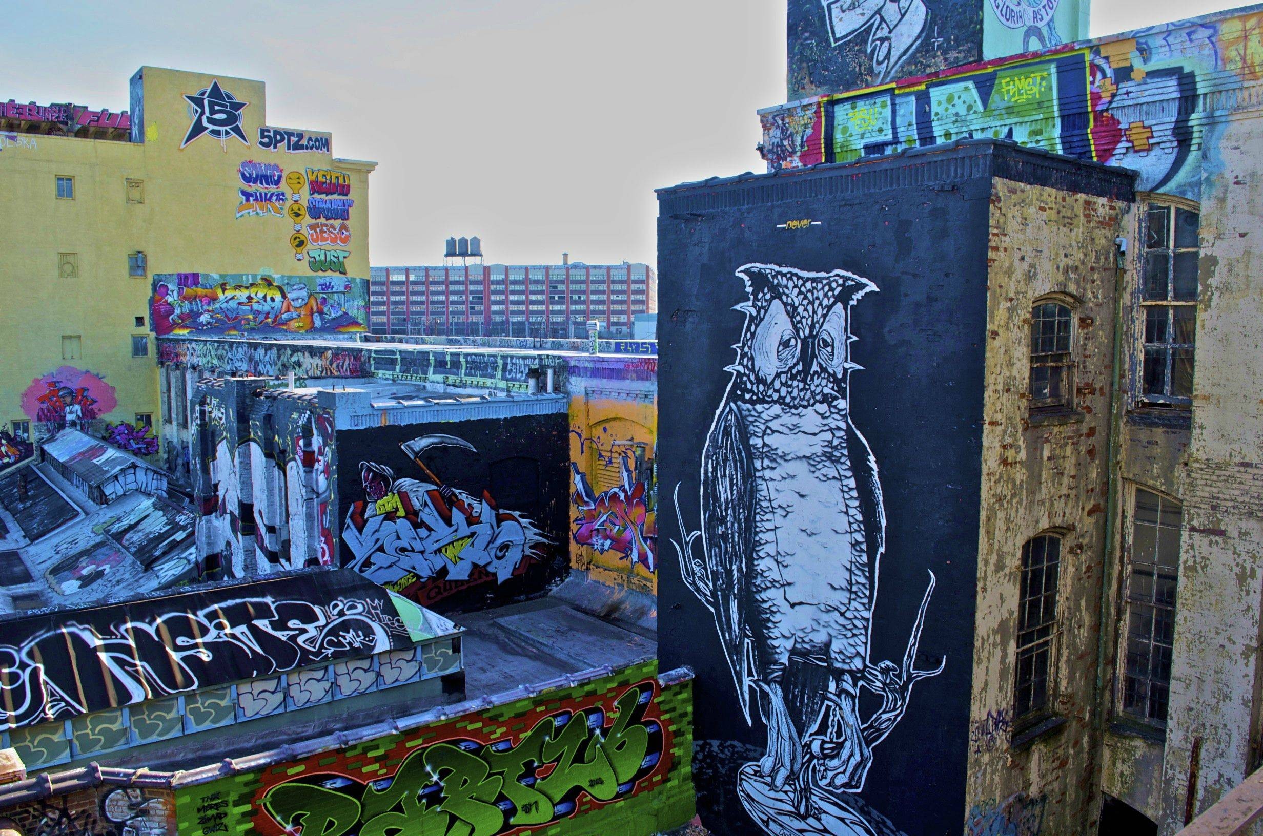 General 2464x1632 graffiti owl building rooftops New York City USA city