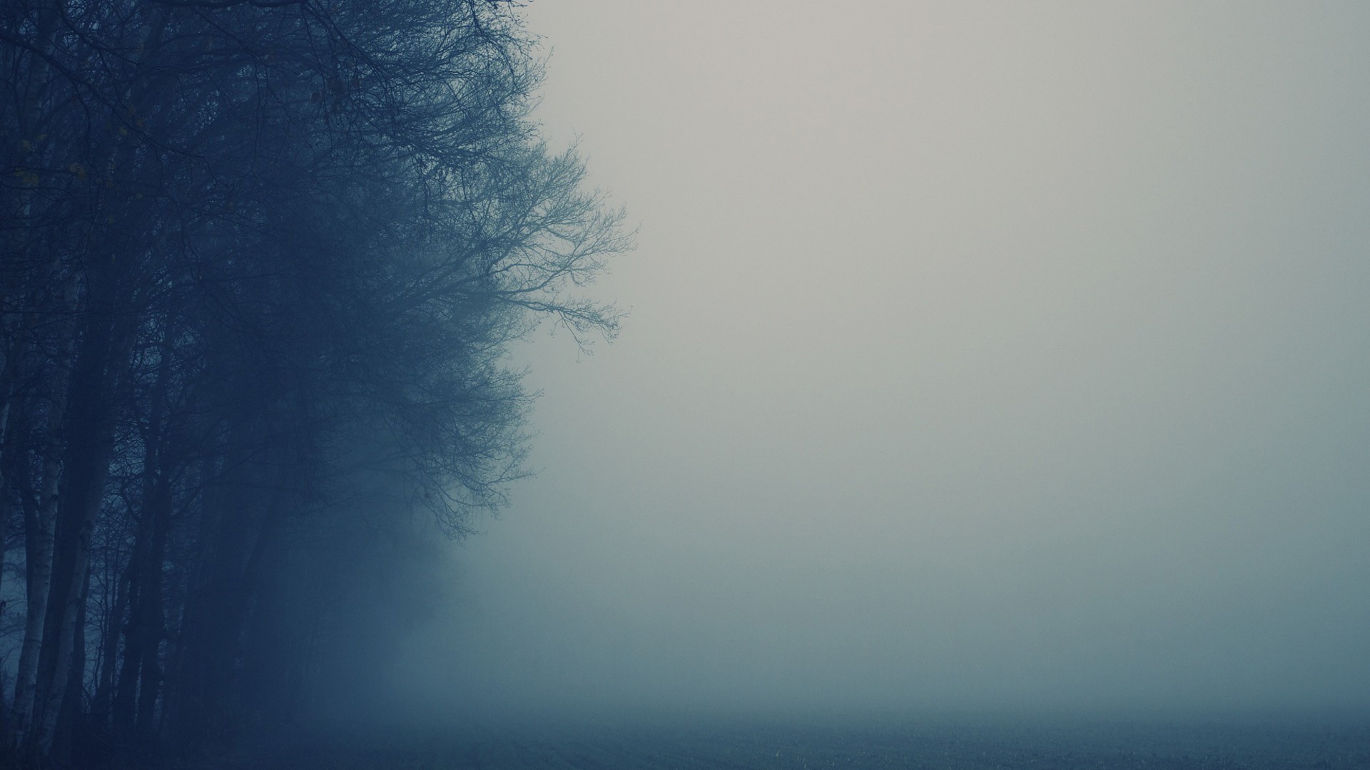 General 1920x1080 mist trees field outdoors photography