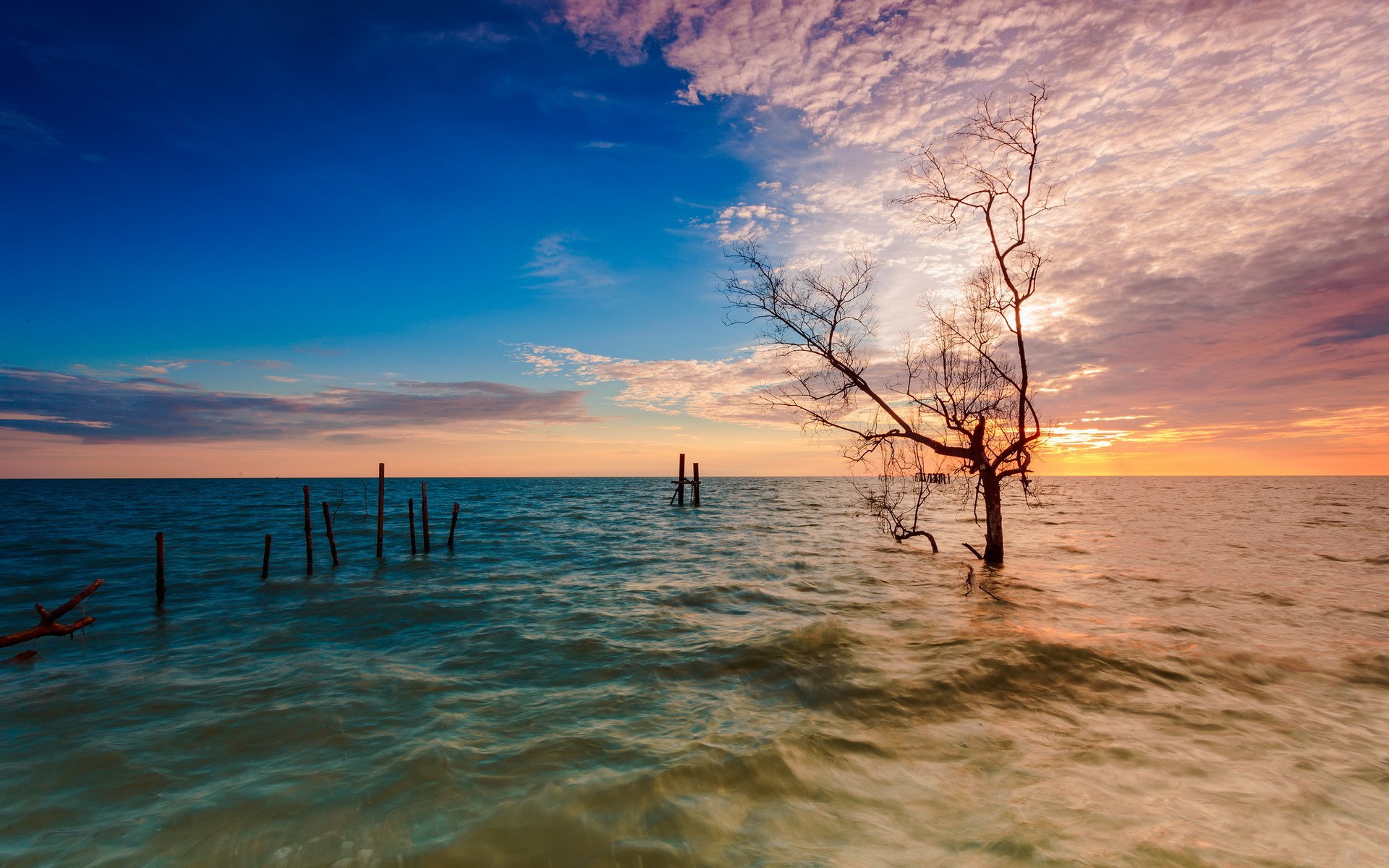 General 1920x1200 nature lake flood dead trees sunset sky water