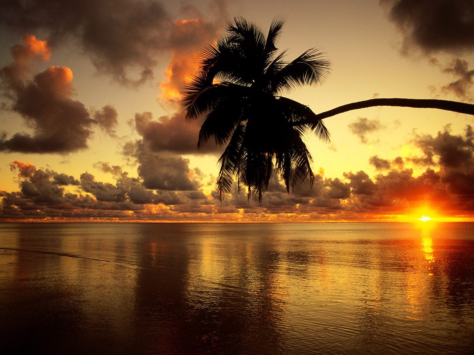 General 1600x1200 sunset nature palm trees sunlight sky sea clouds orange horizon
