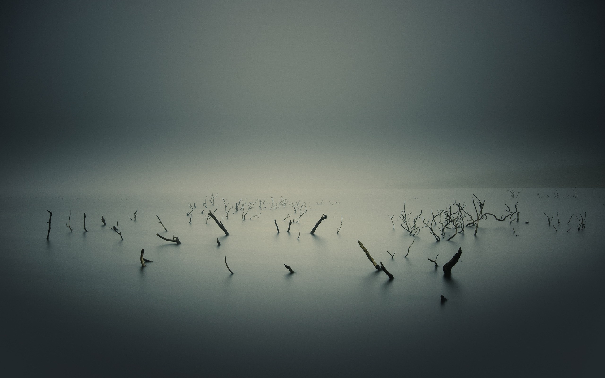 General 2560x1600 water lake overcast branch monochrome mist nature sea wood dead trees swamp dark