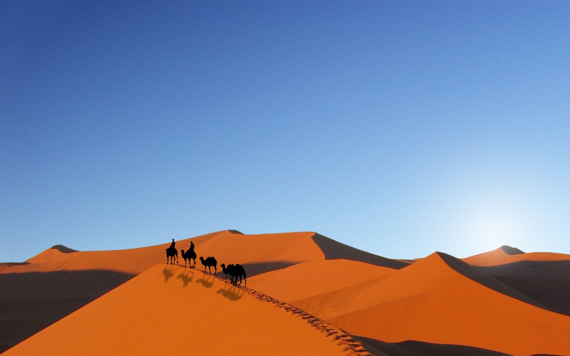 General 1920x1200 desert camels sky sand landscape dunes