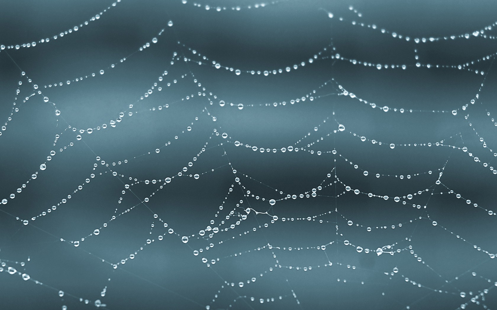General 1680x1050 spiderwebs water drops macro simple background